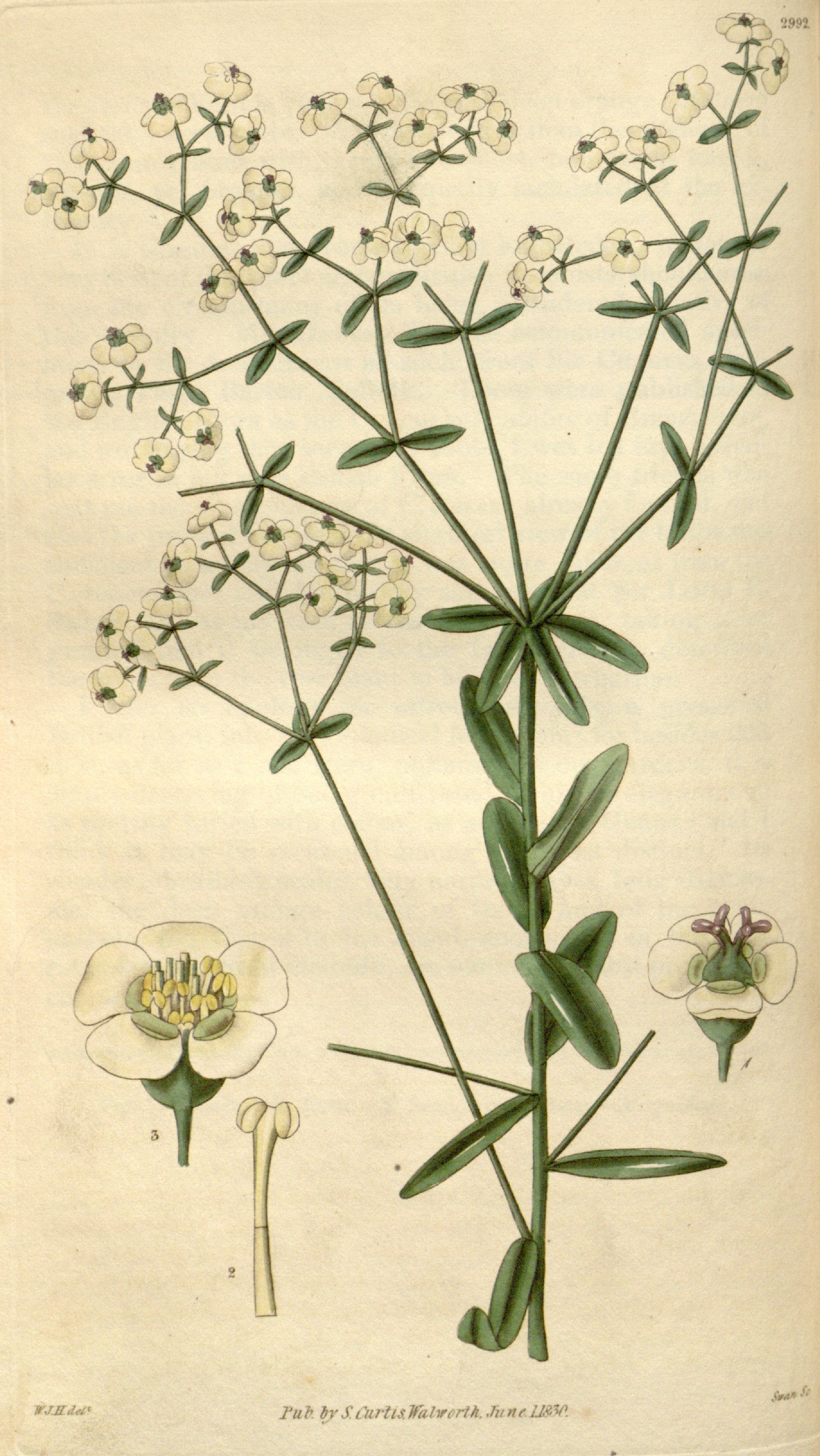 no full size  illustration available (3a)