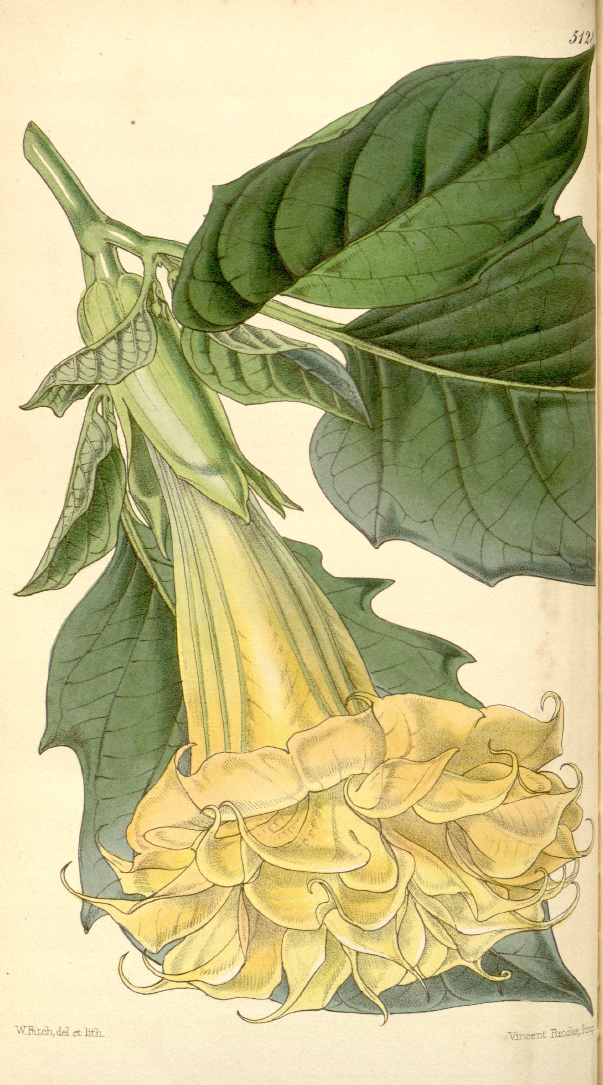 no full size  illustration available (3a)