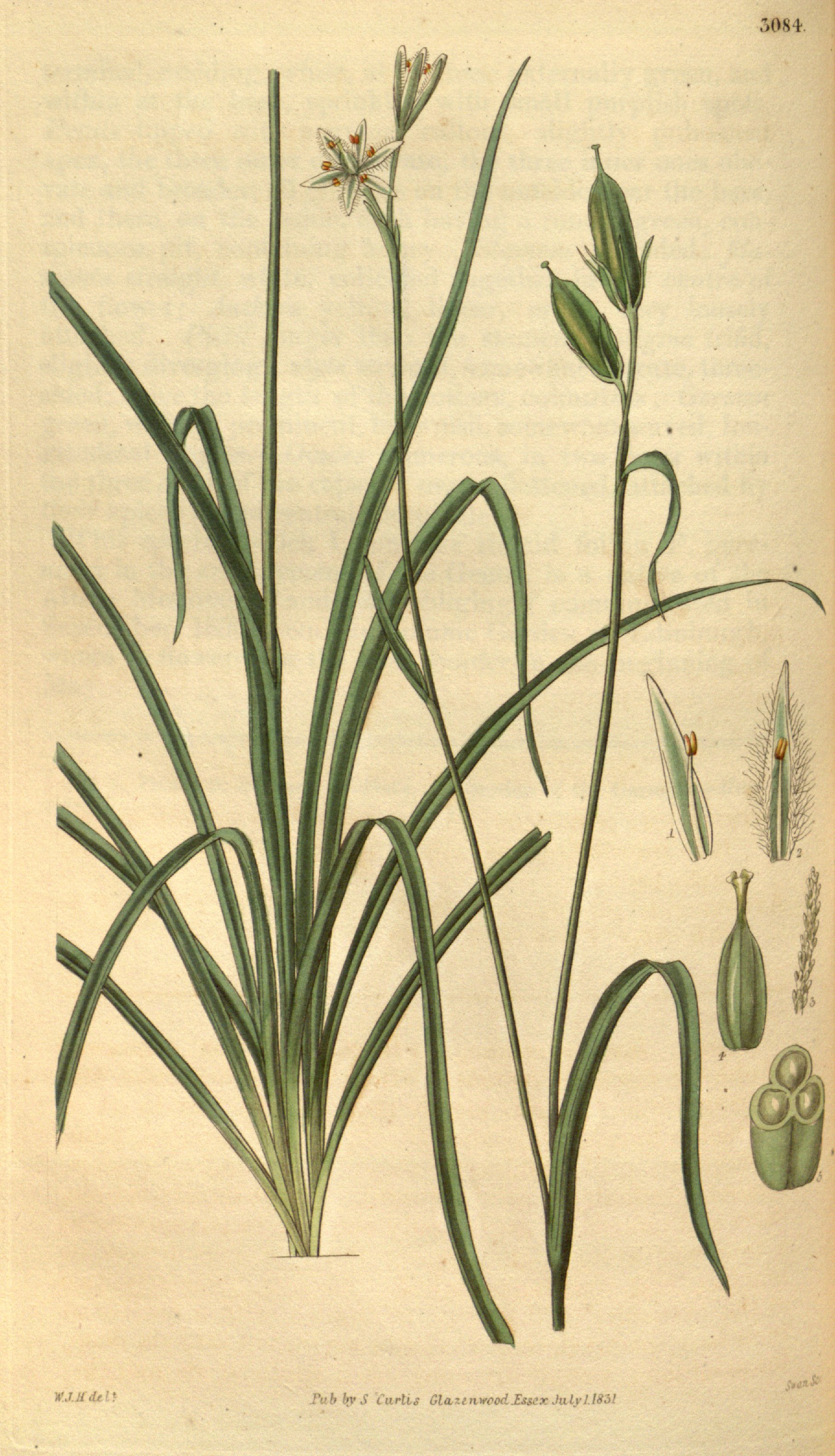 no full size  illustration available (3a)