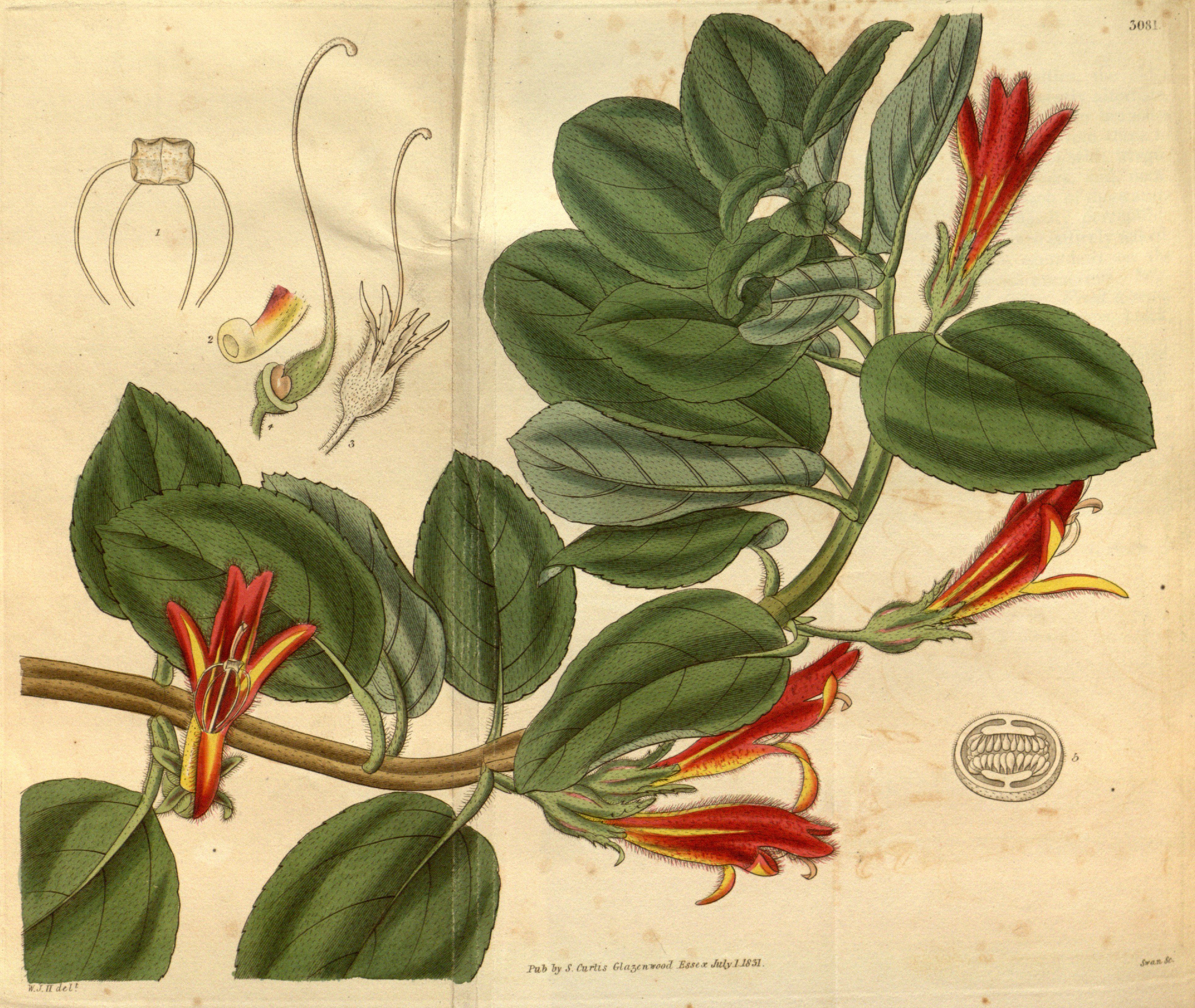 no full size  illustration available (3a)