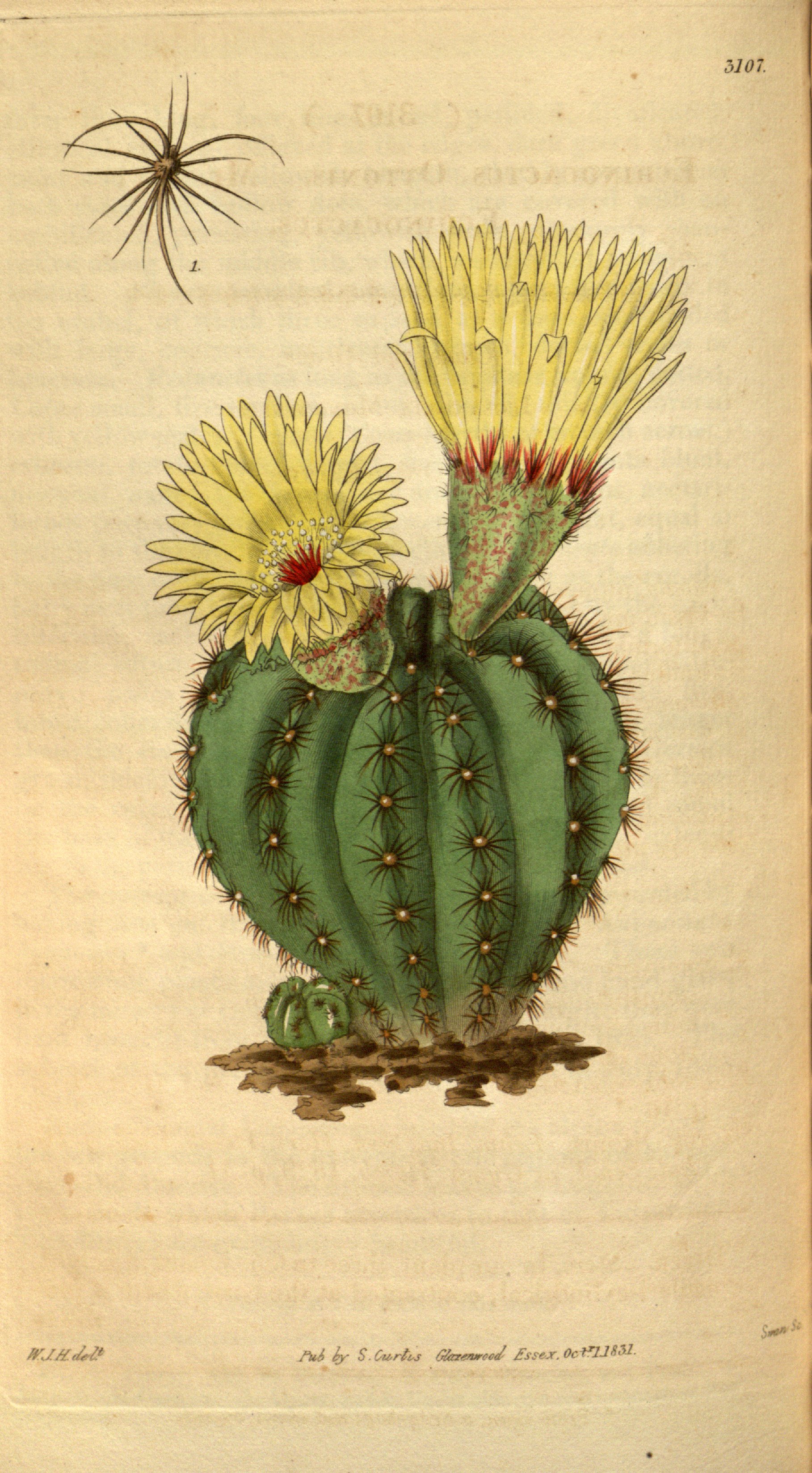 no full size  illustration available (3a)