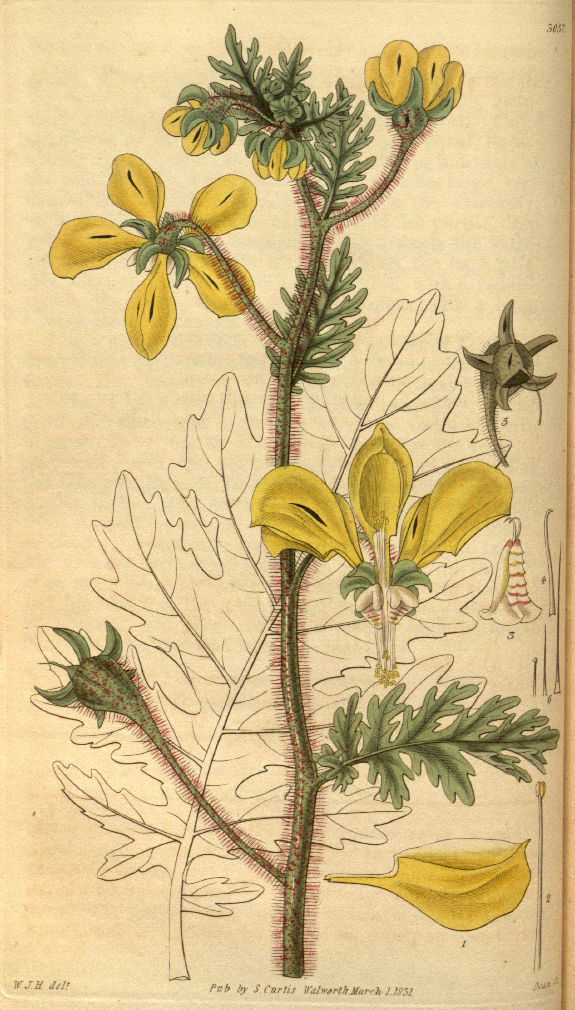 no full size  illustration available (3a)