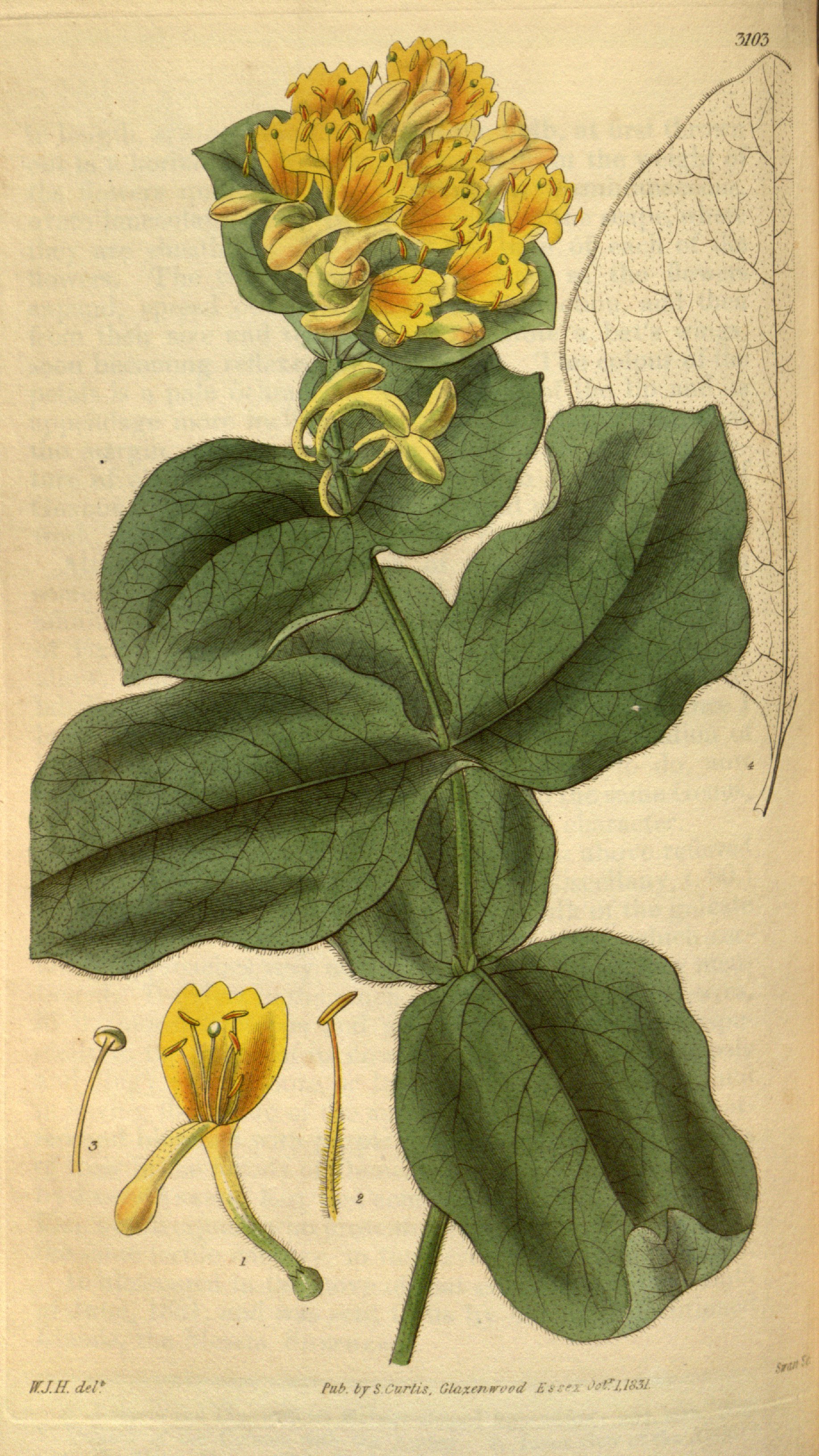 no full size  illustration available (3a)