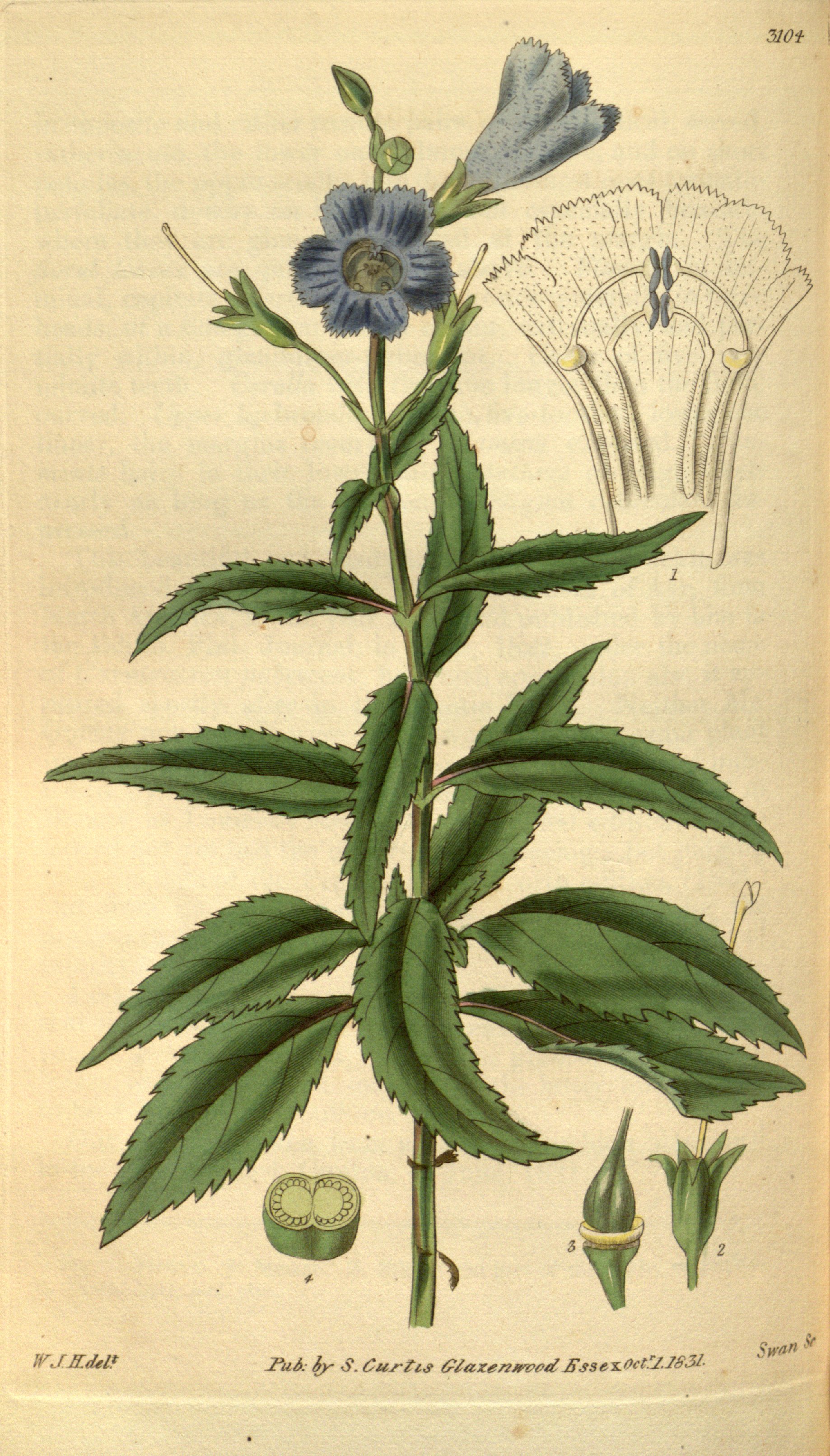 no full size  illustration available (3a)