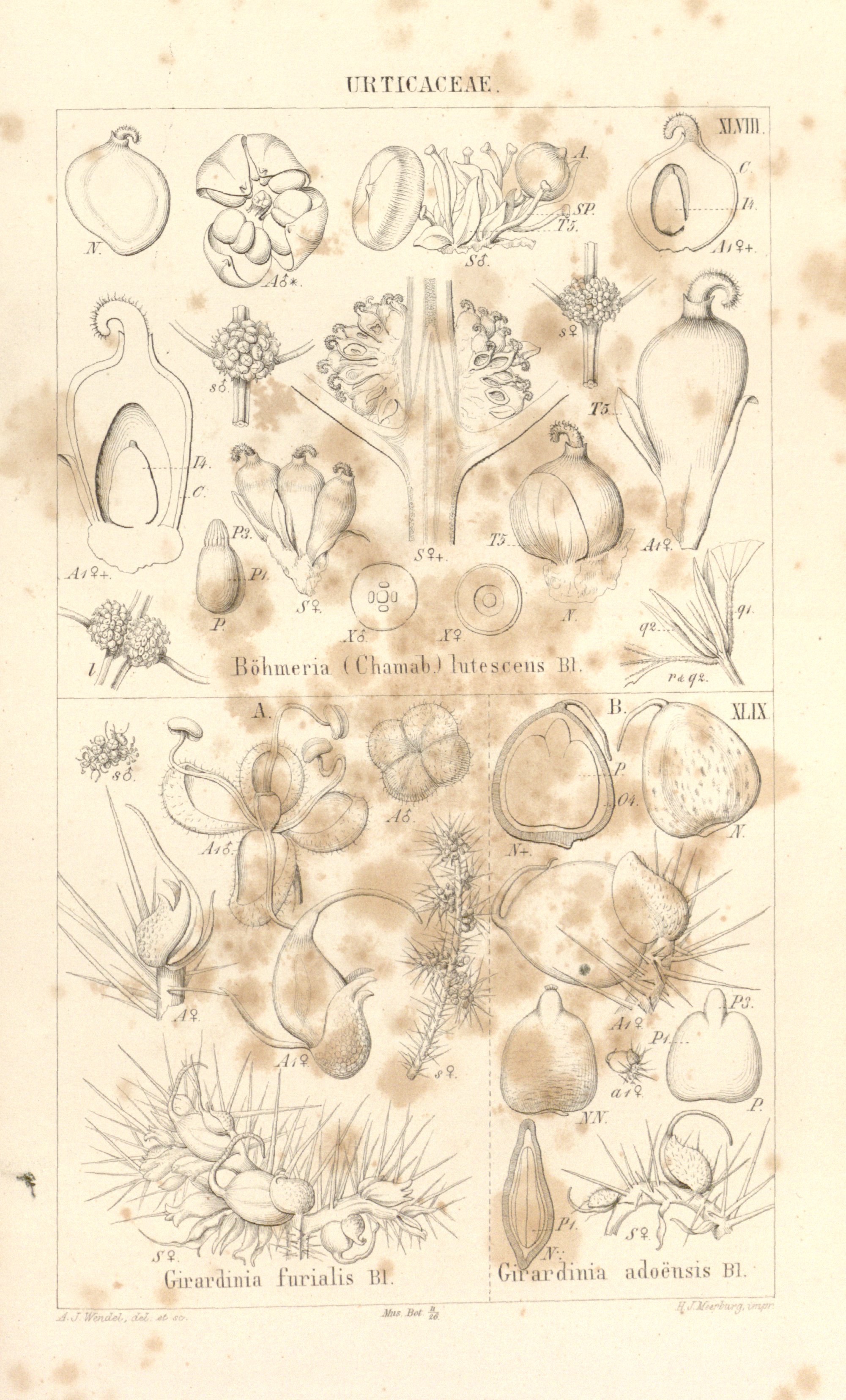 no full size  illustration available (3a)