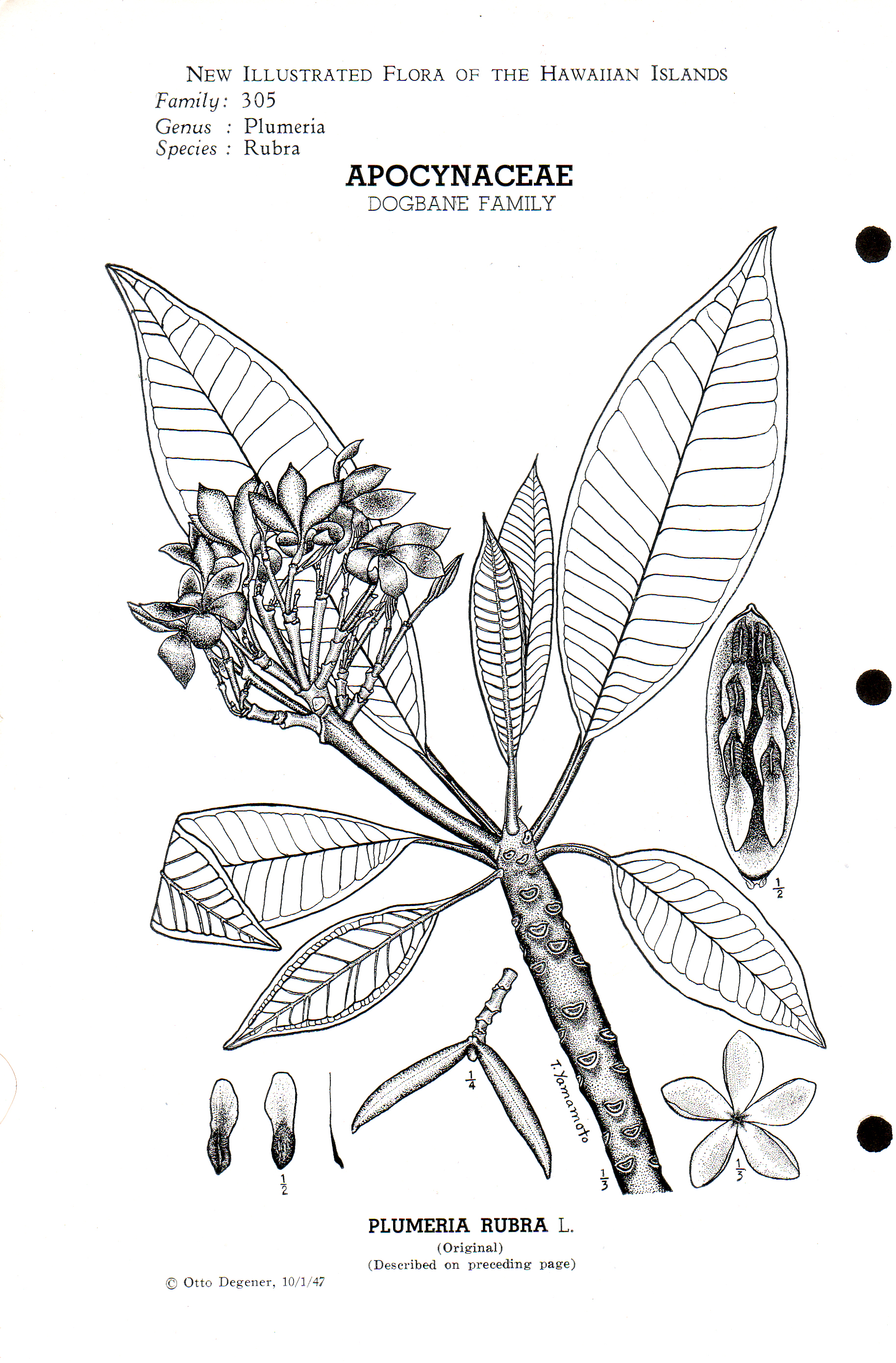 no full size  illustration available (3a)