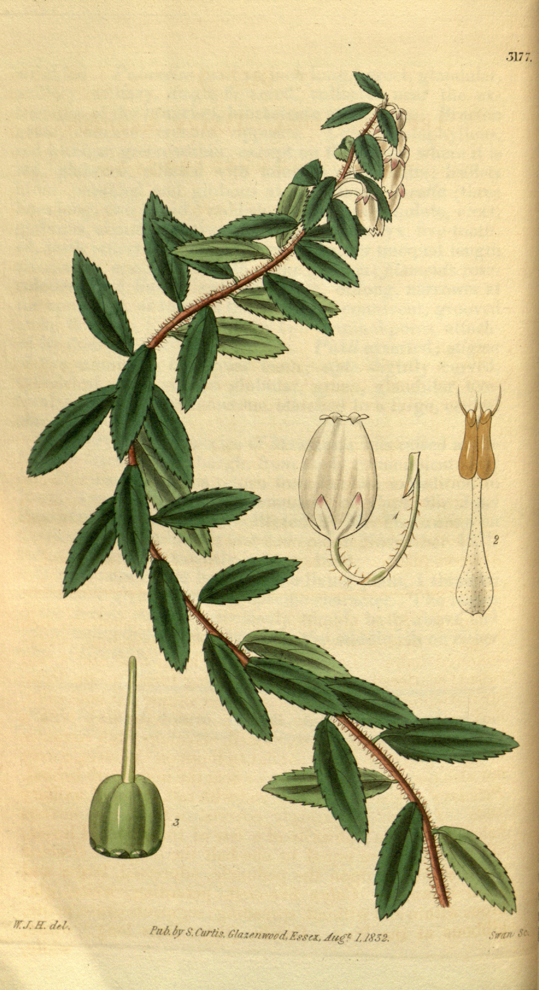 no full size  illustration available (3a)