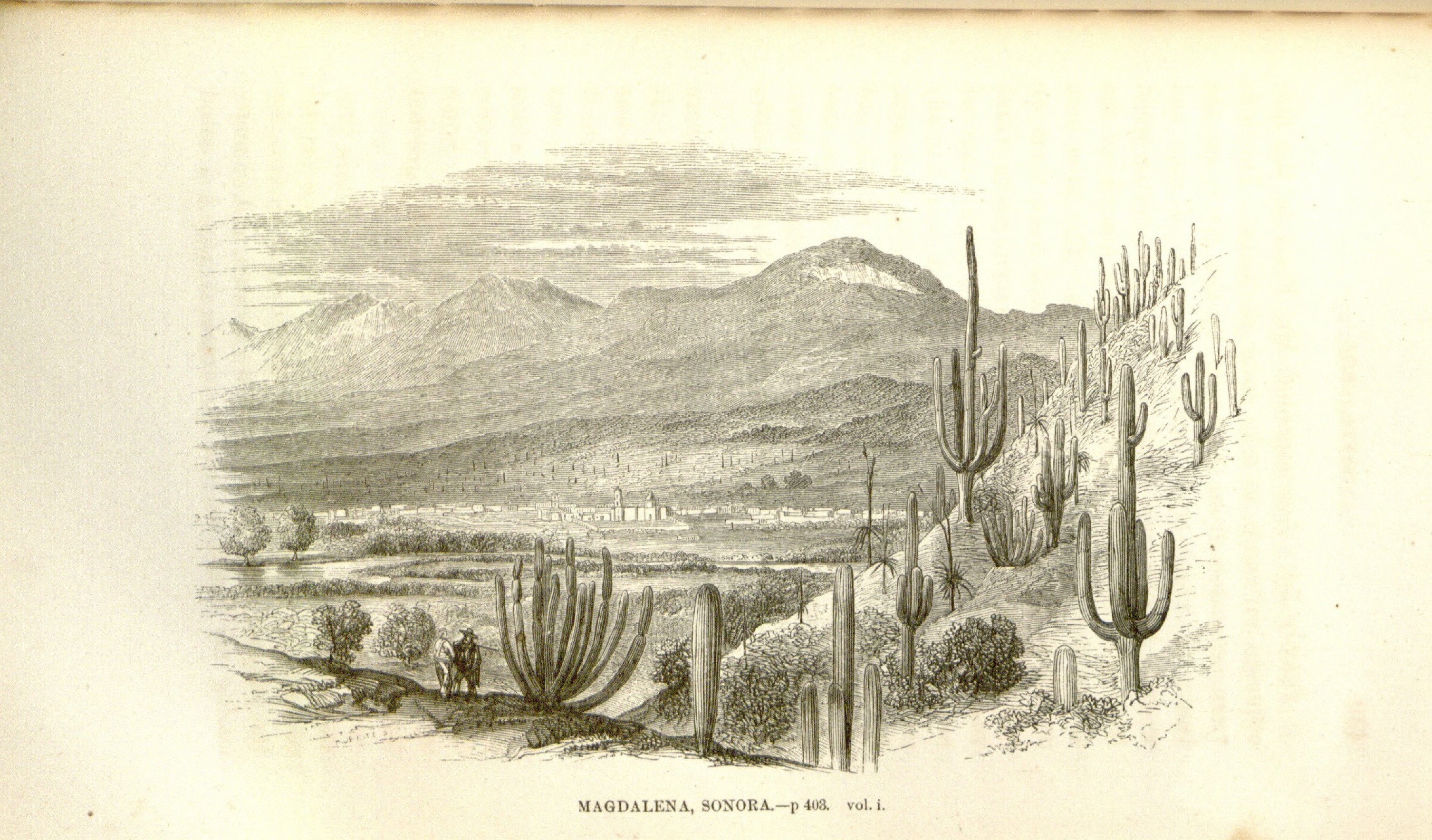 no full size  illustration available (3a)