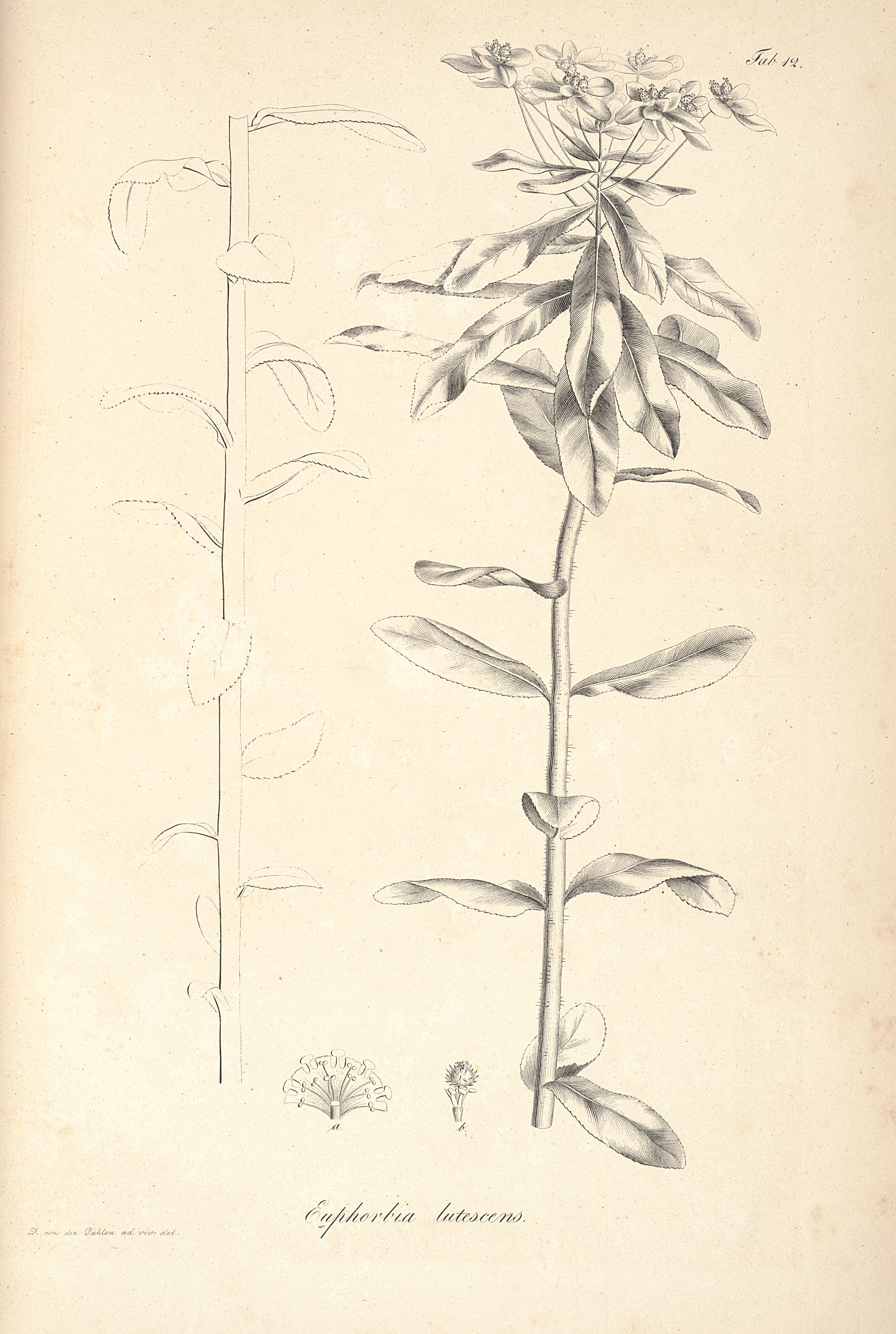 no full size  illustration available (3a)