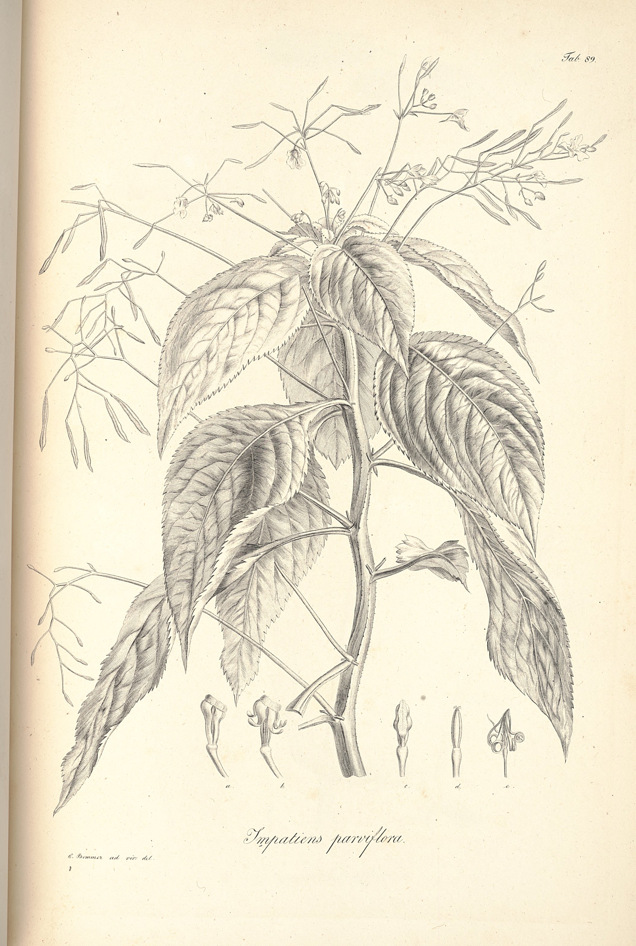 no full size  illustration available (3a)