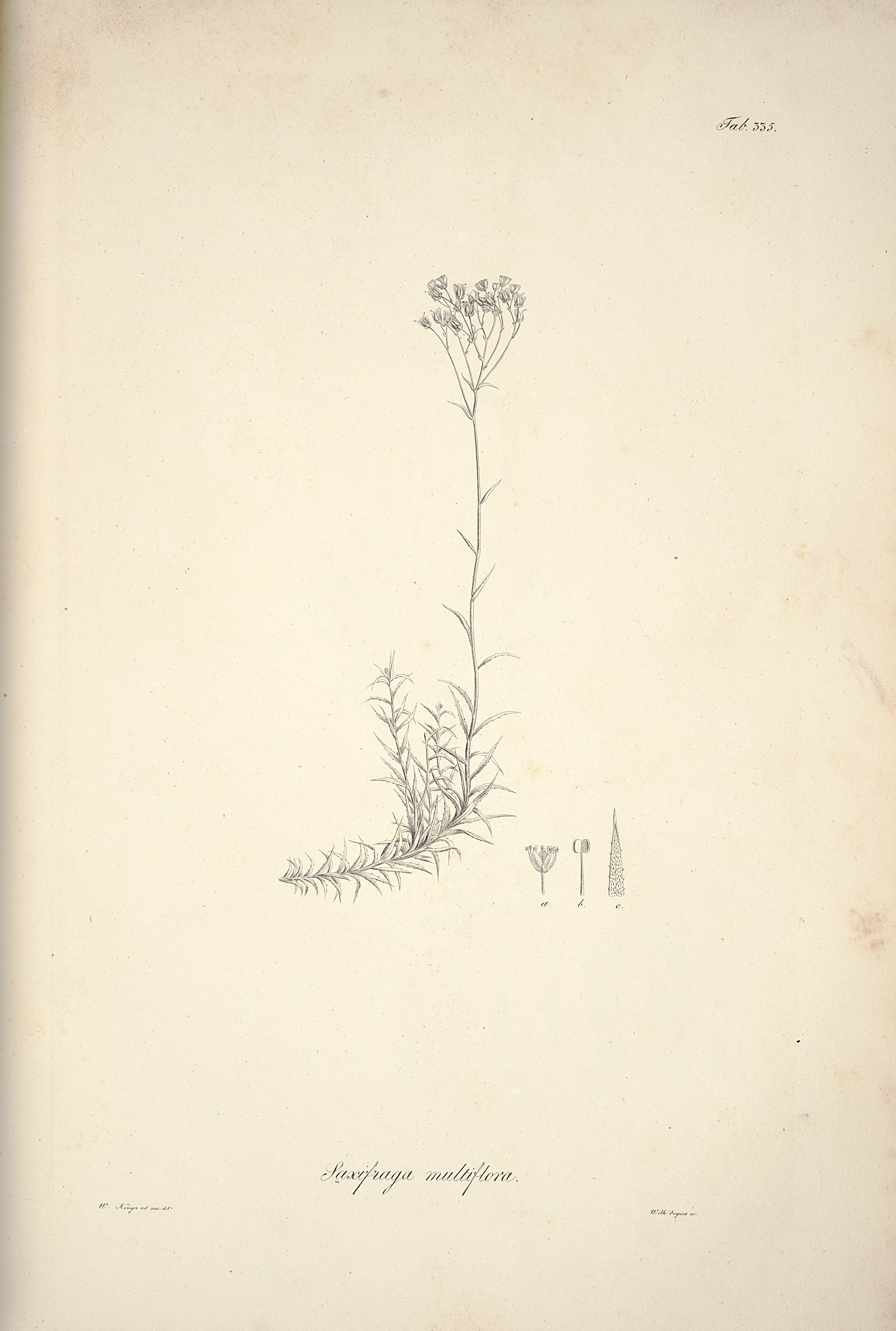 no full size  illustration available (3a)