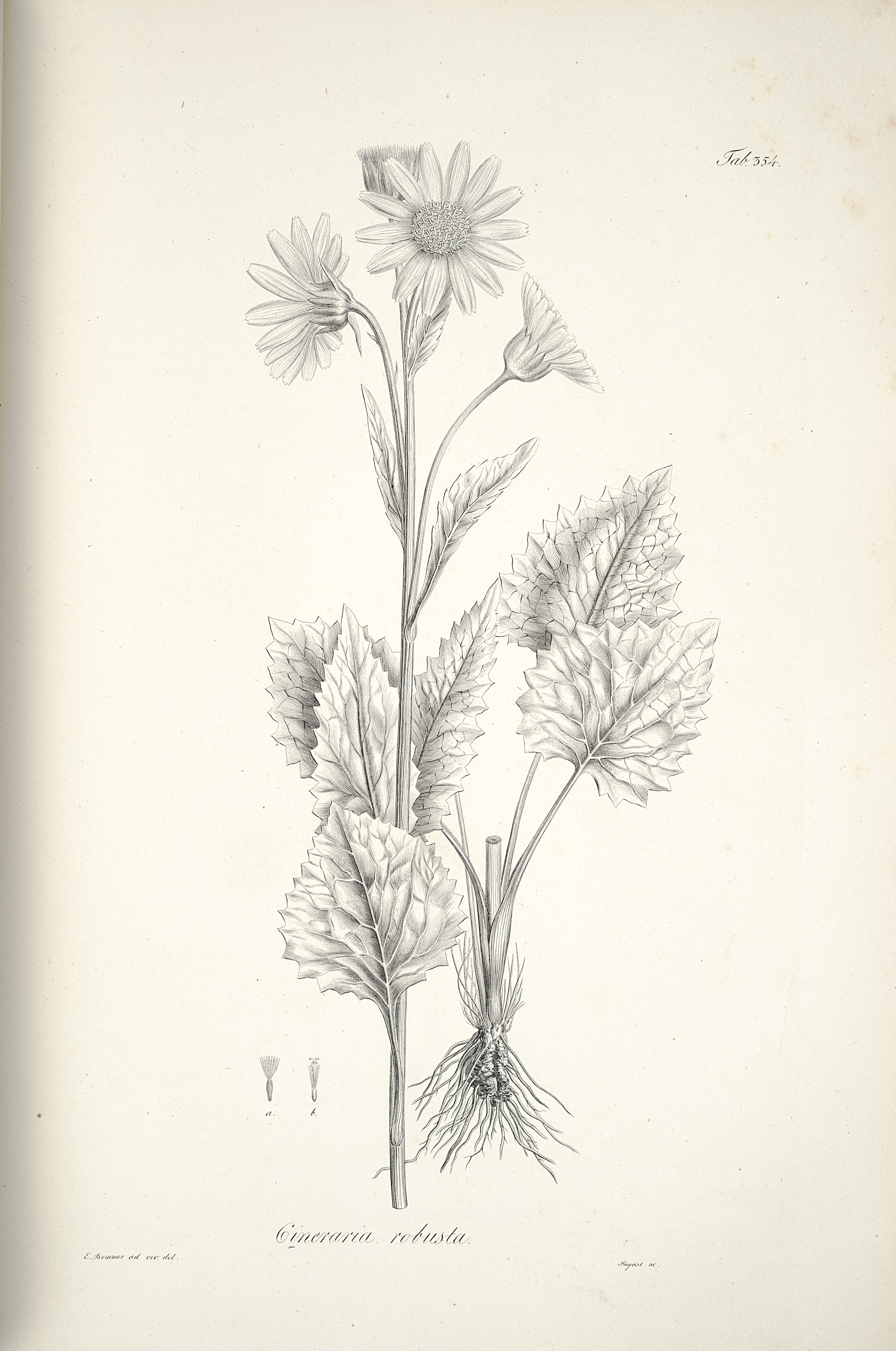 no full size  illustration available (3a)