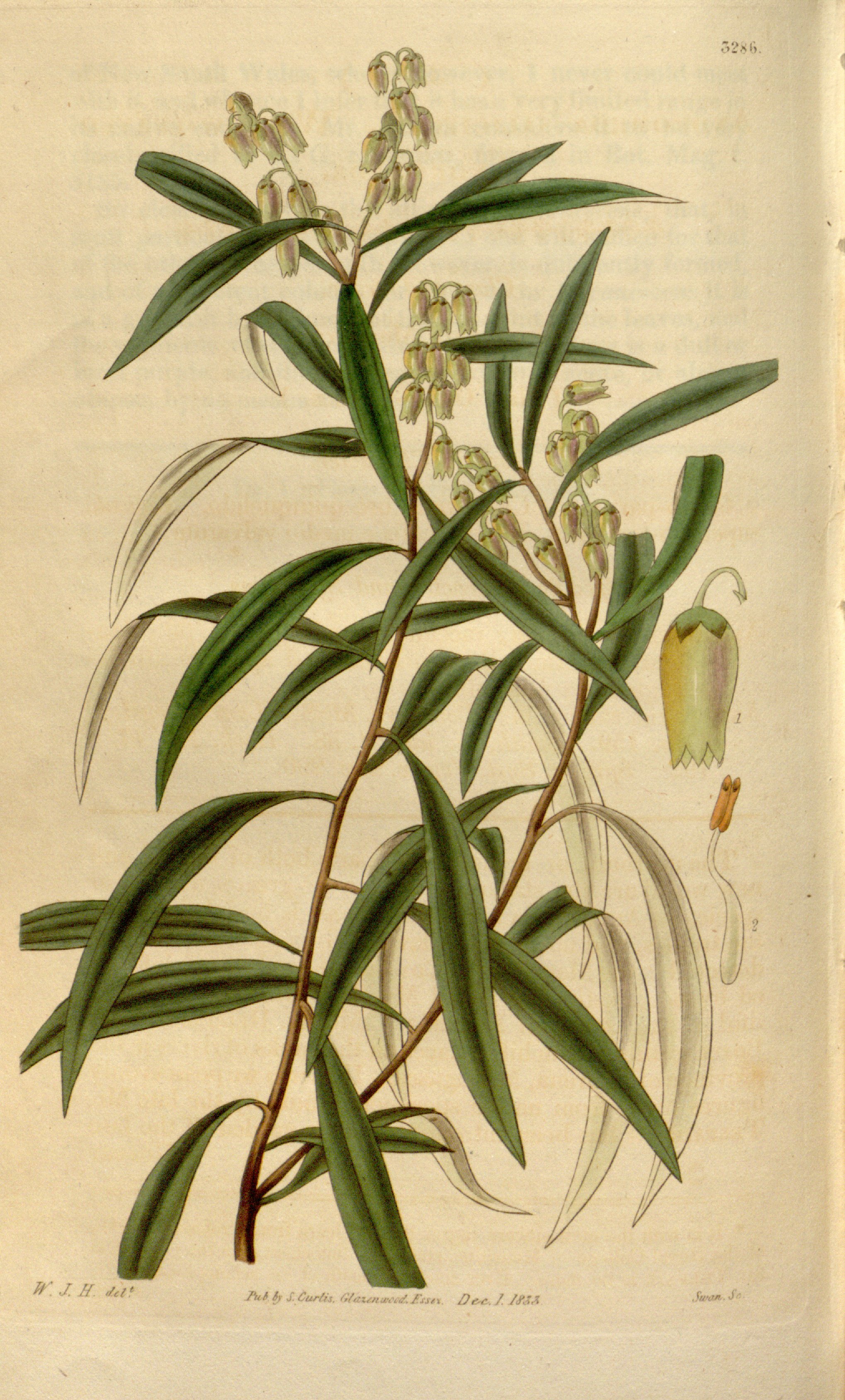 no full size  illustration available (3a)