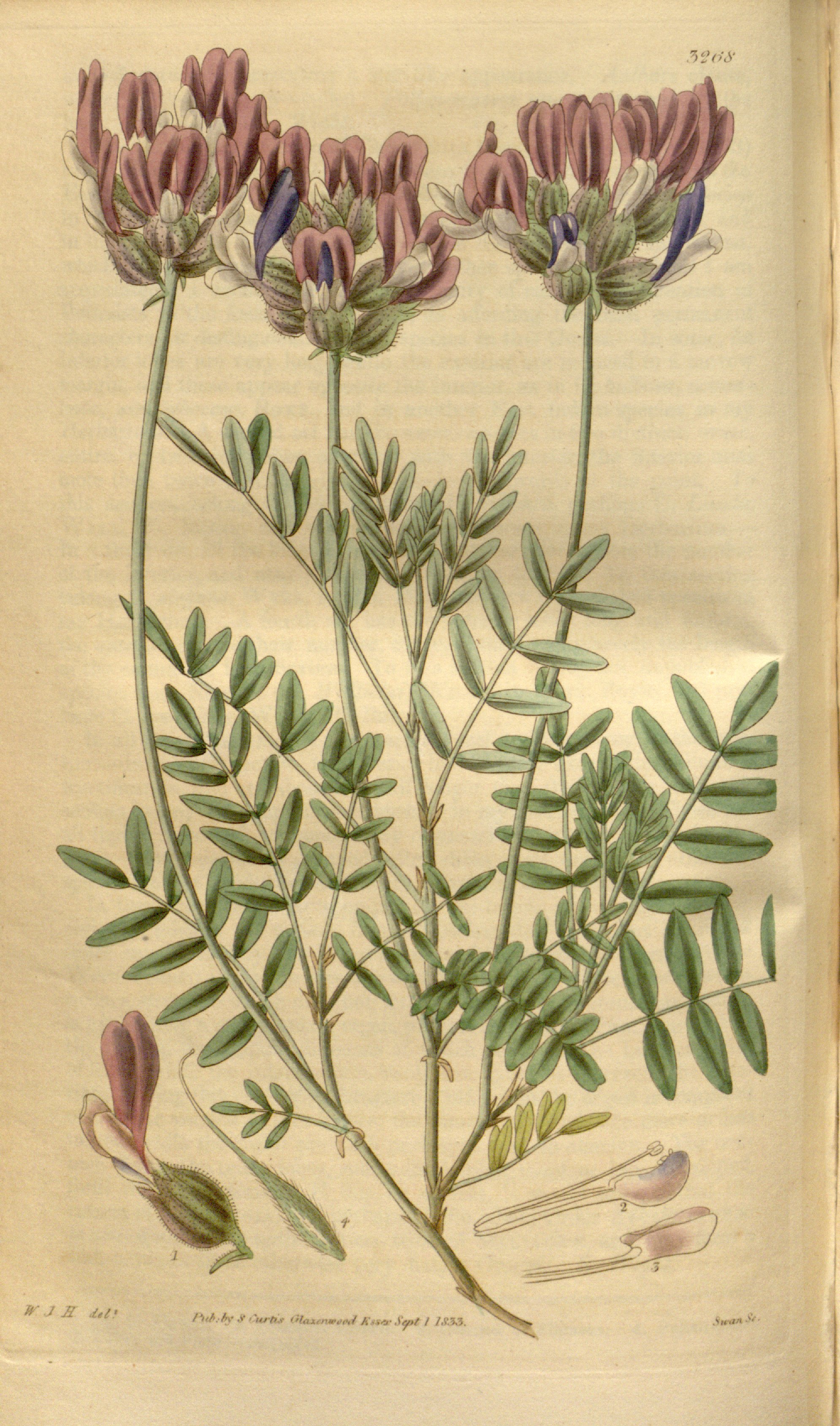 no full size  illustration available (3a)