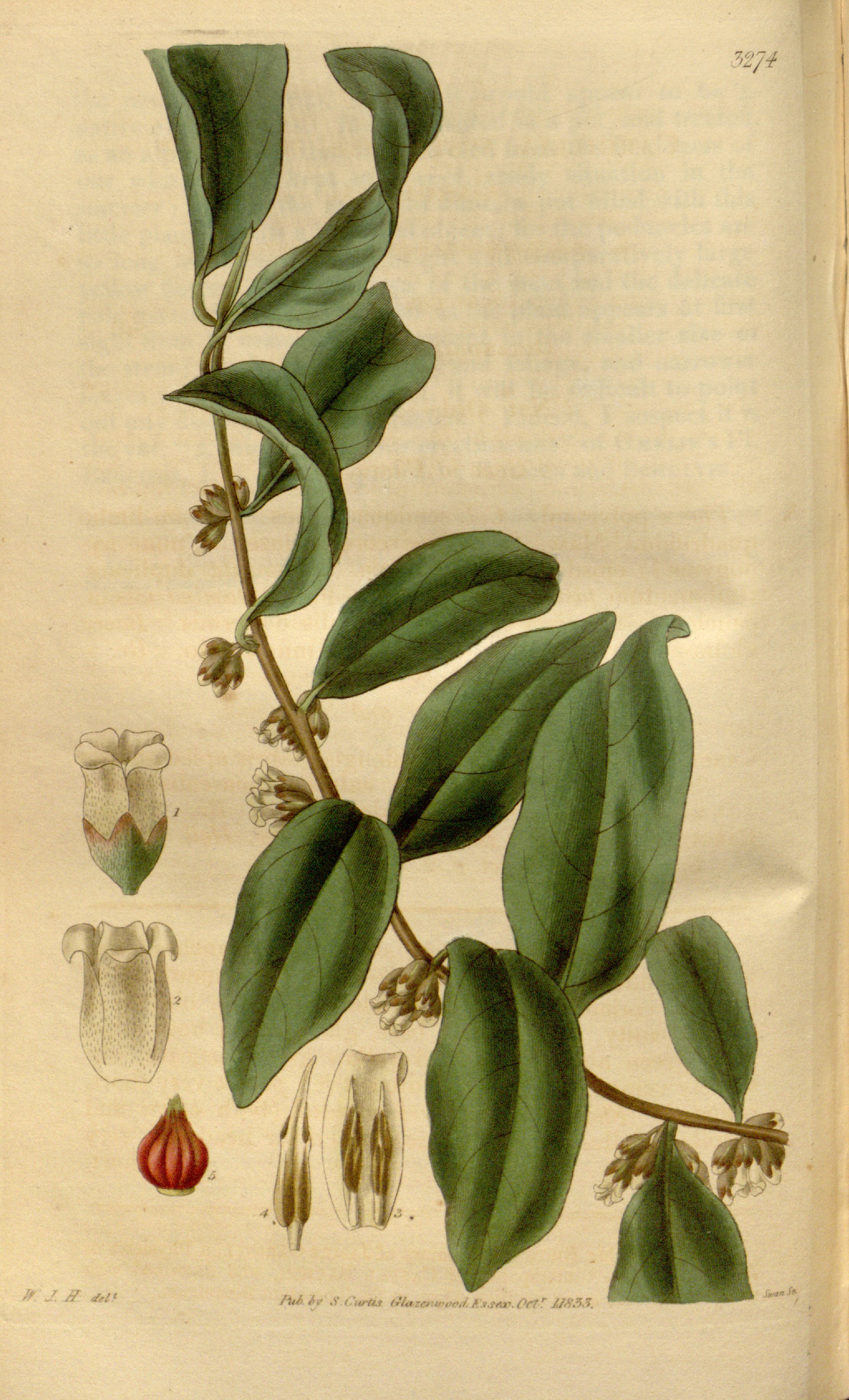 no full size  illustration available (3a)