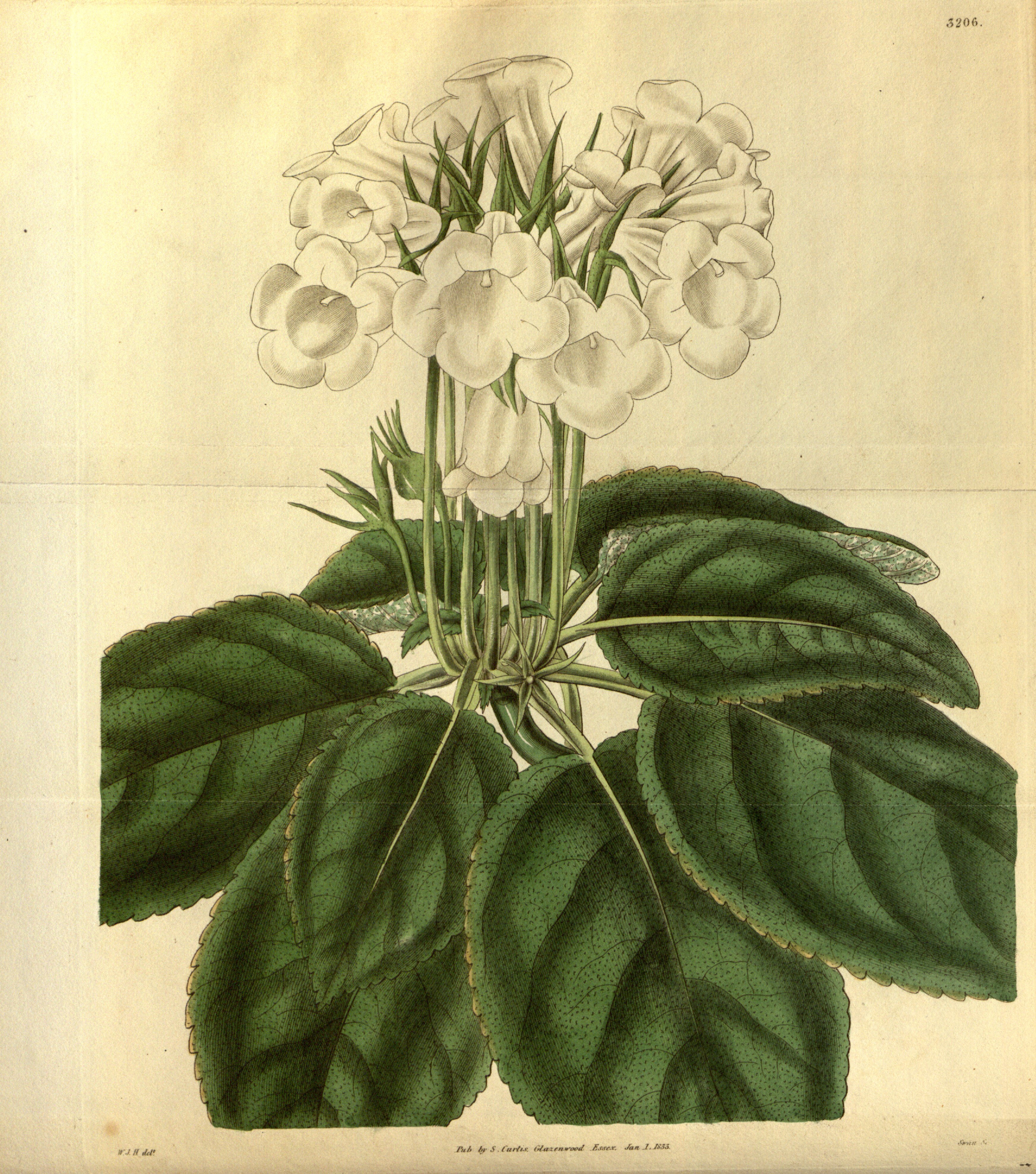 no full size  illustration available (3a)