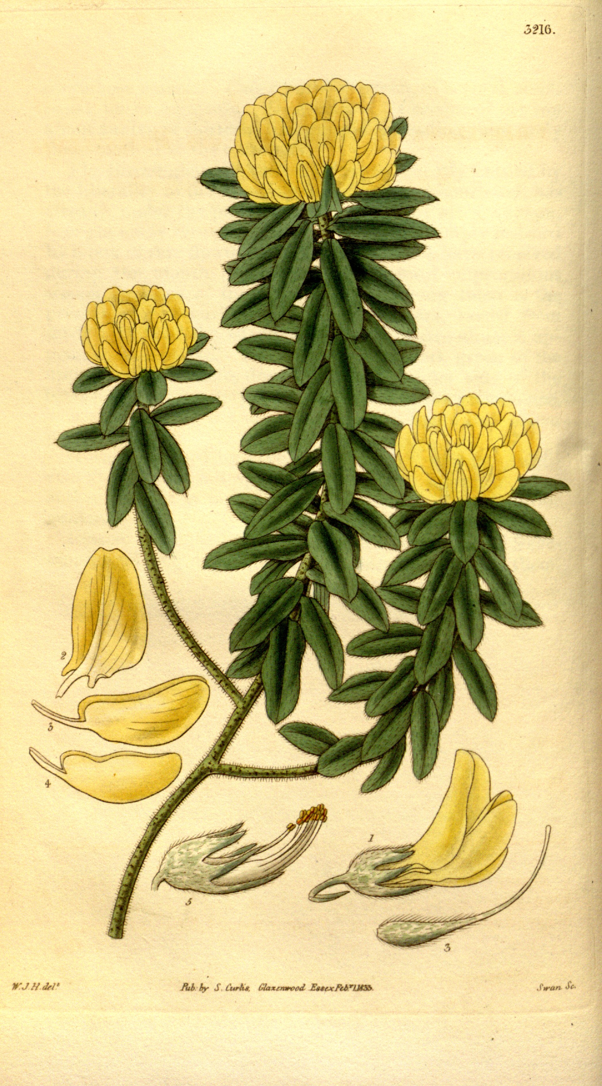 no full size  illustration available (3a)