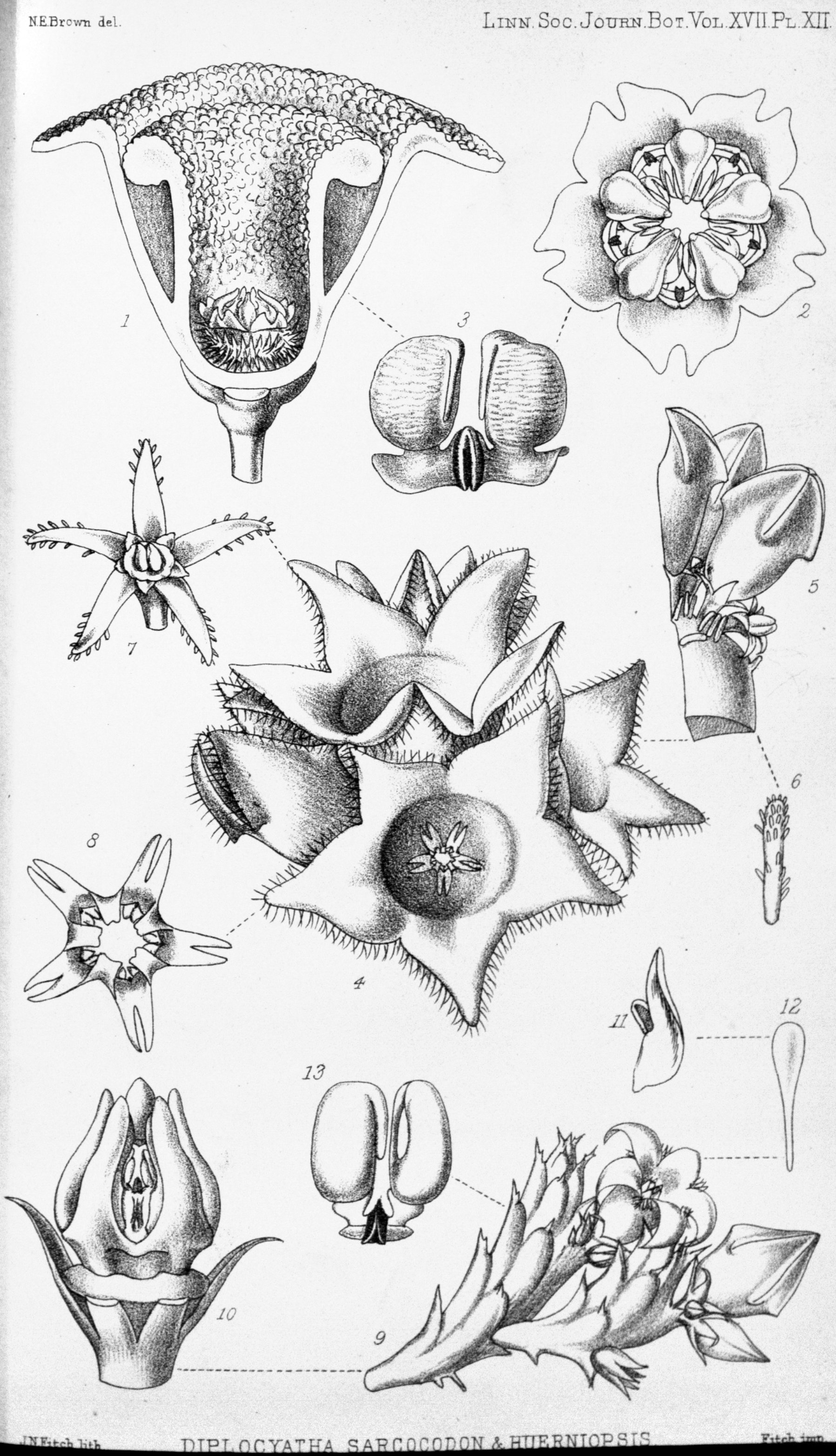 no full size  illustration available (3a)