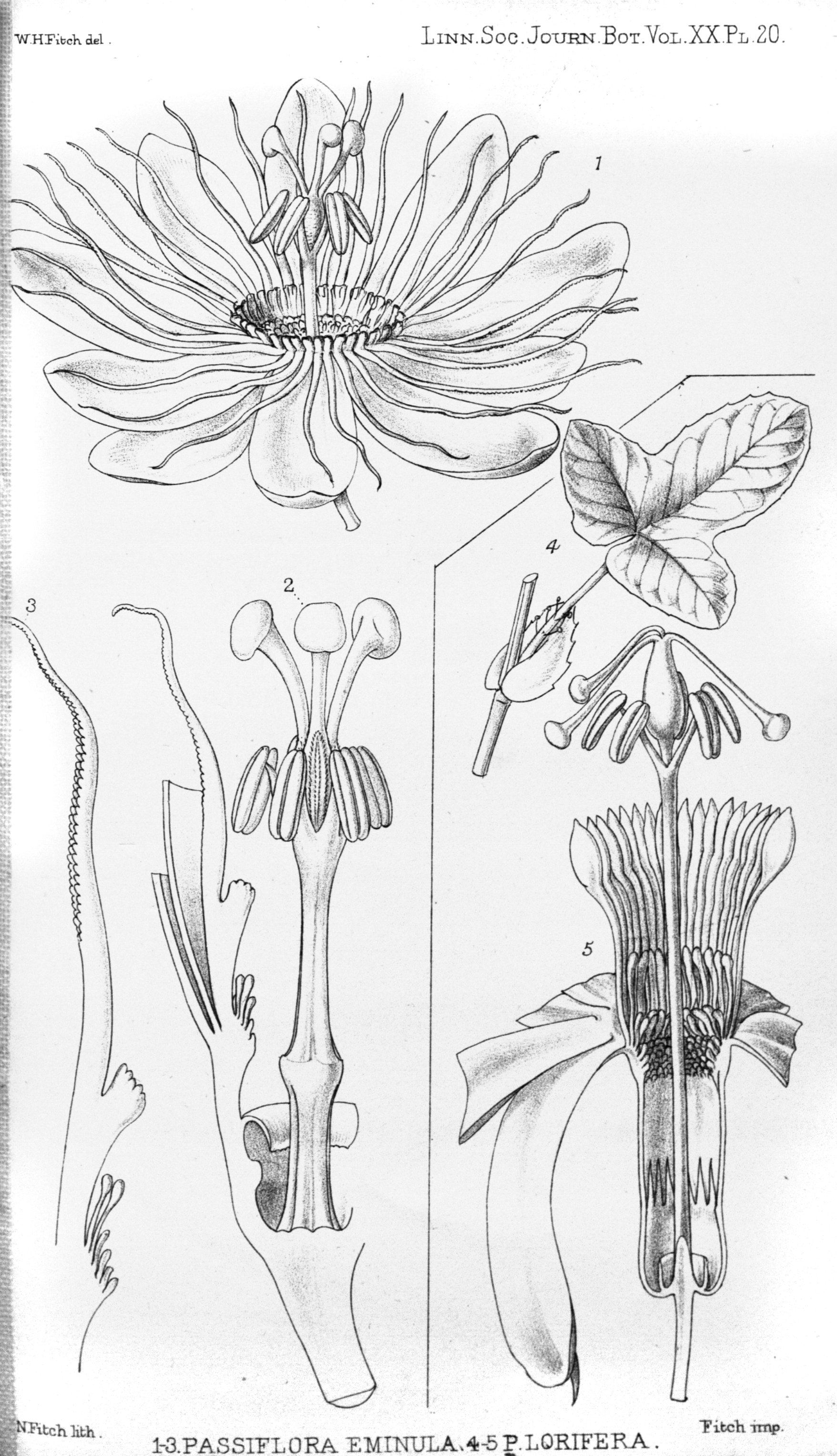 no full size  illustration available (3a)