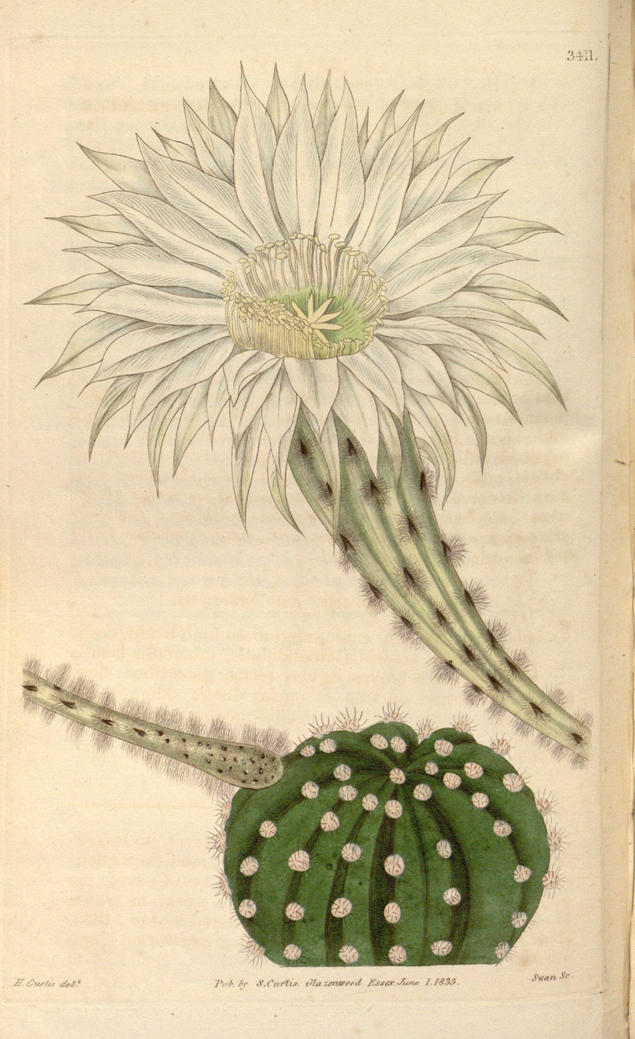 no full size  illustration available (3a)