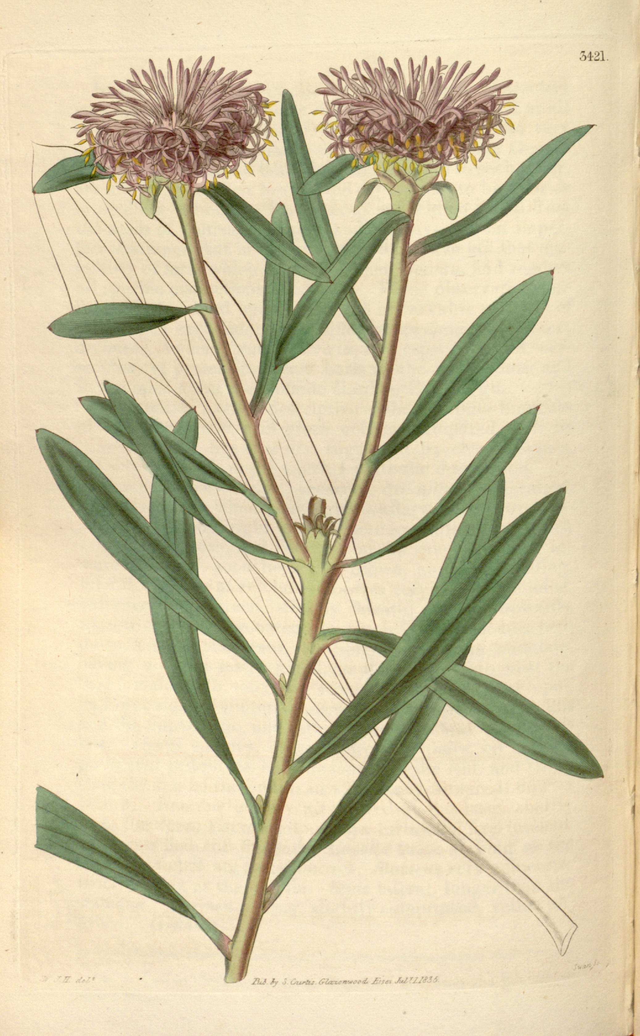 no full size  illustration available (3a)