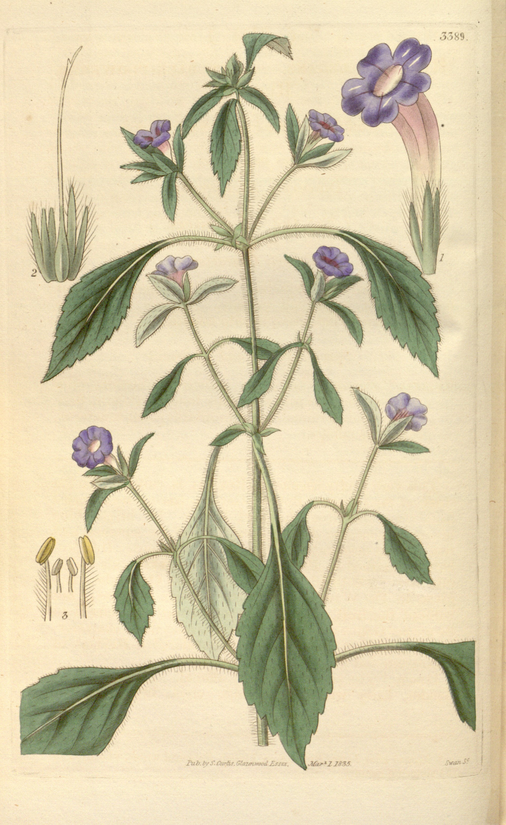 no full size  illustration available (3a)