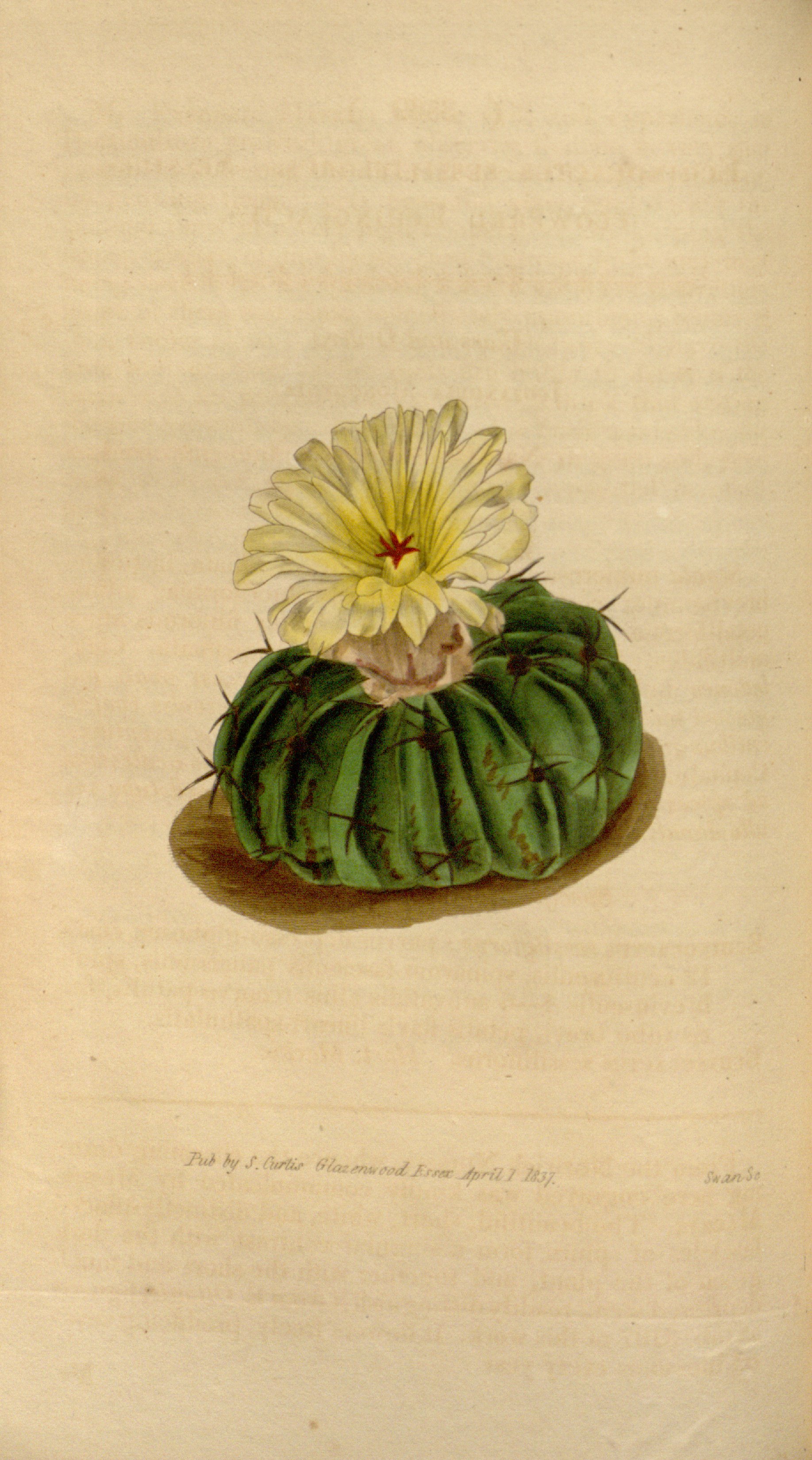 no full size  illustration available (3a)