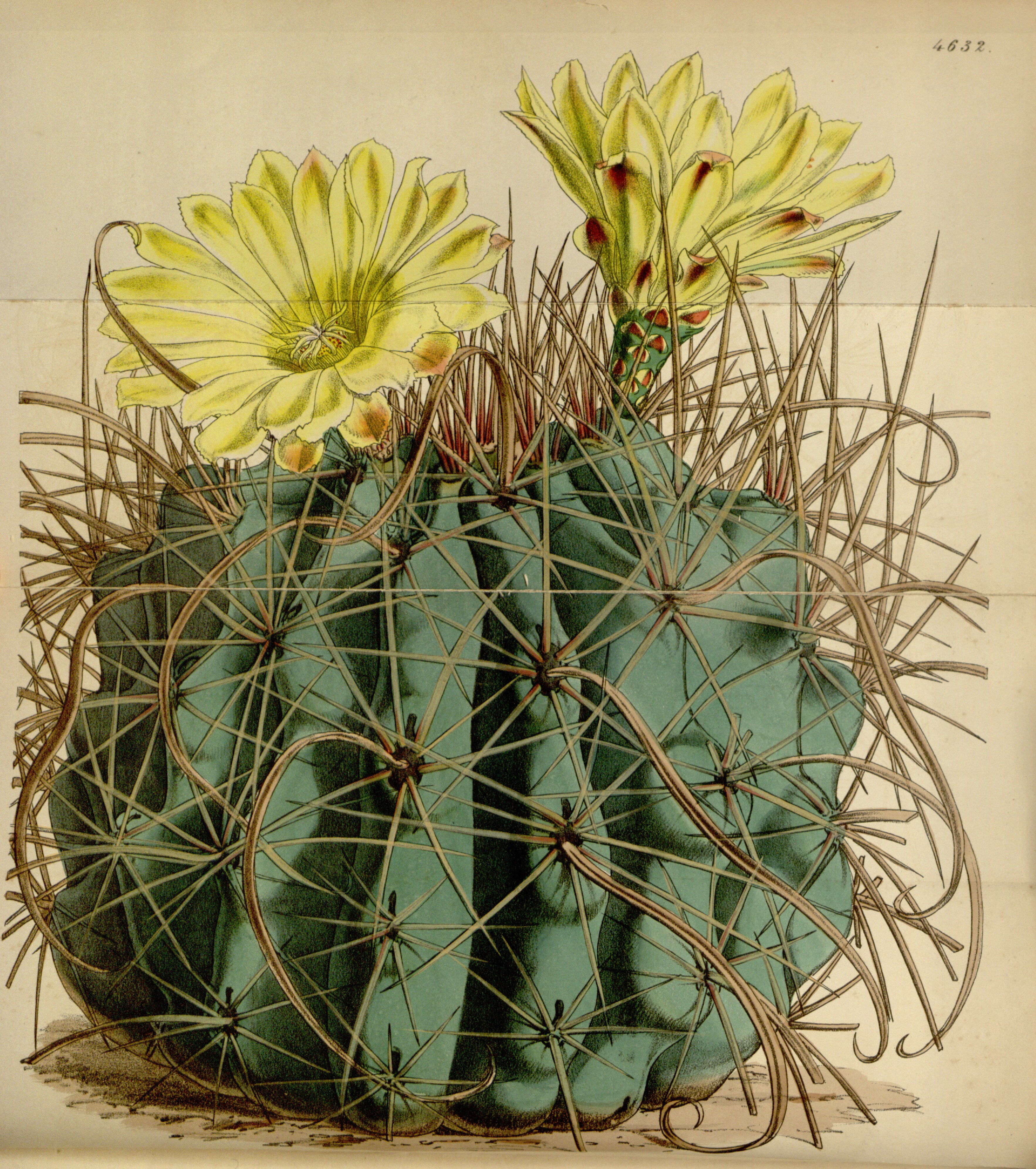 no full size  illustration available (3a)