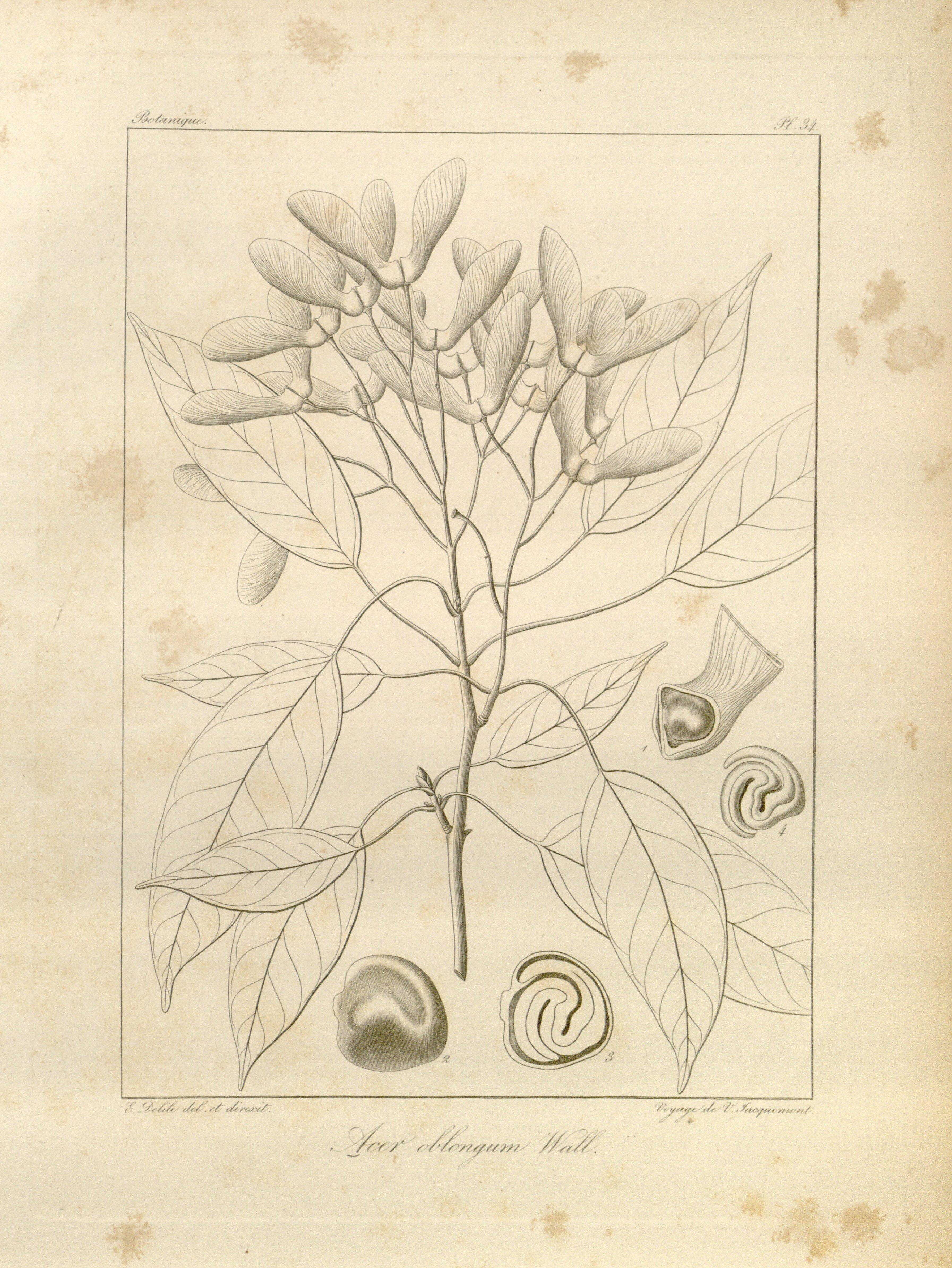 no full size  illustration available (3a)