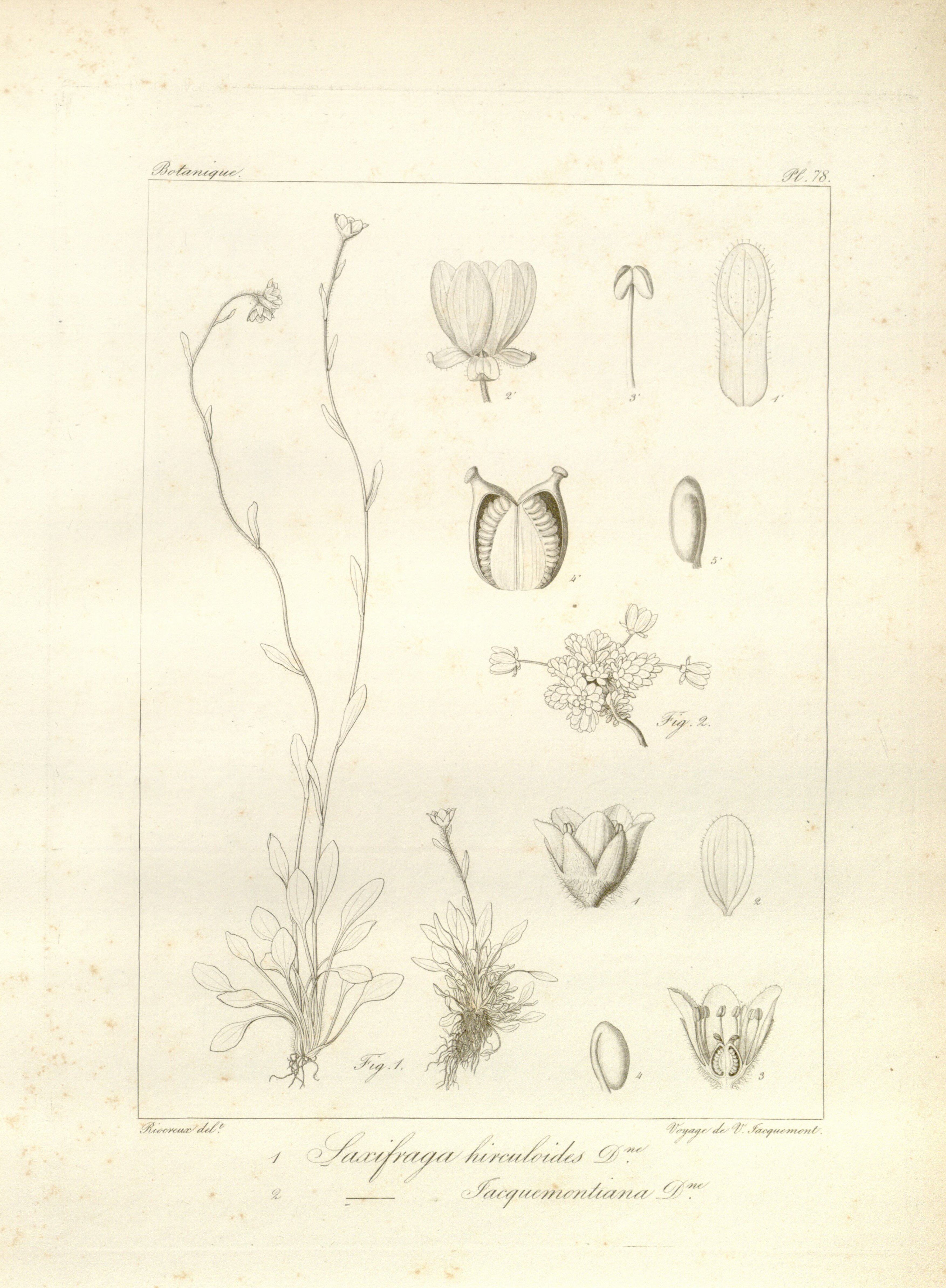 no full size  illustration available (3a)