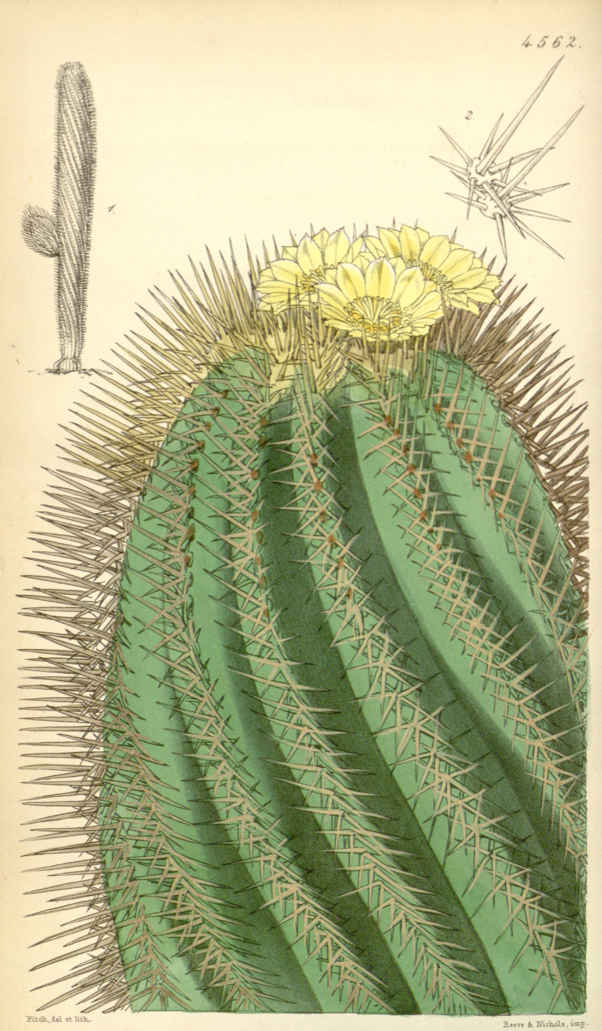 no full size  illustration available (3a)