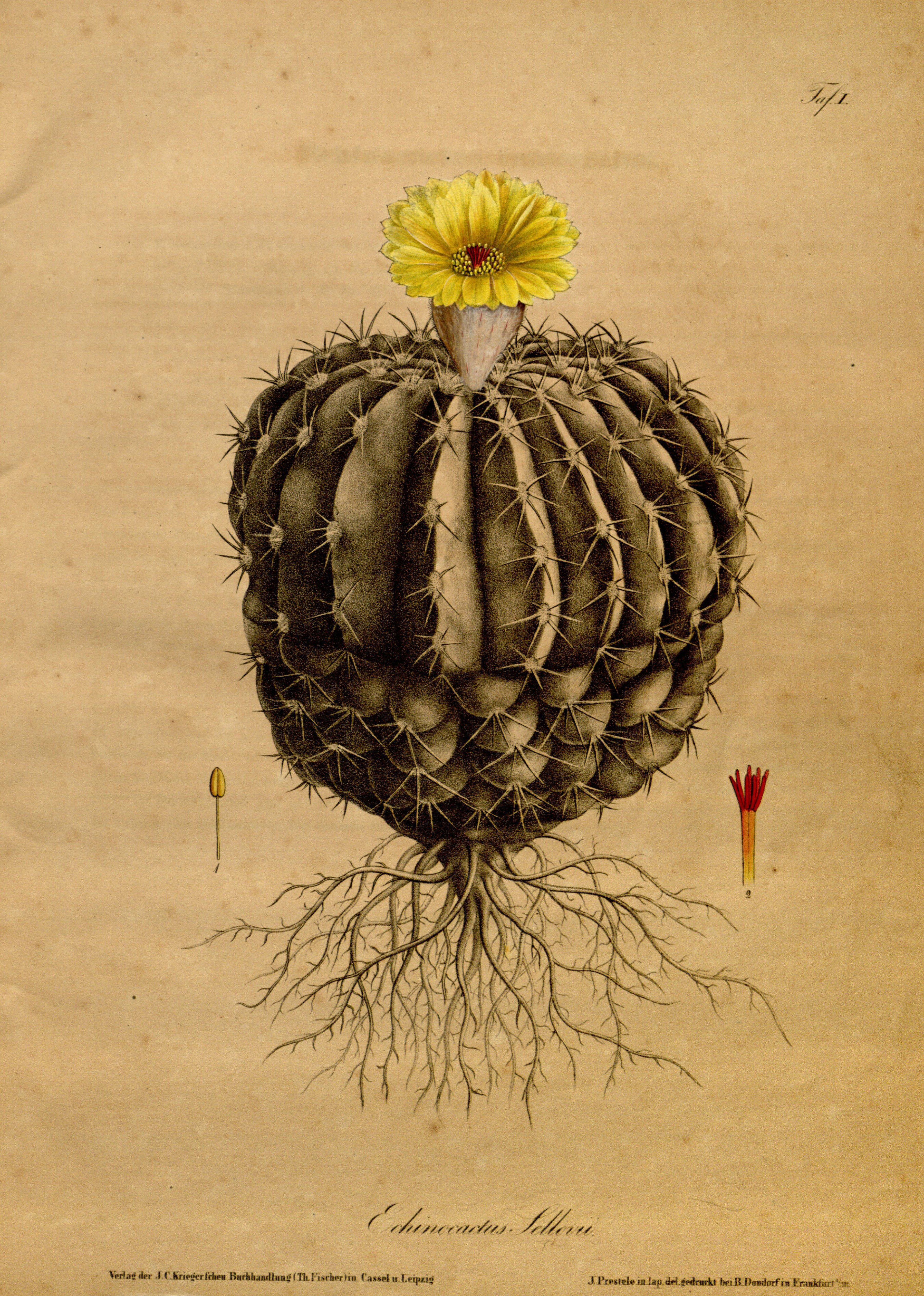 no full size  illustration available (3a)