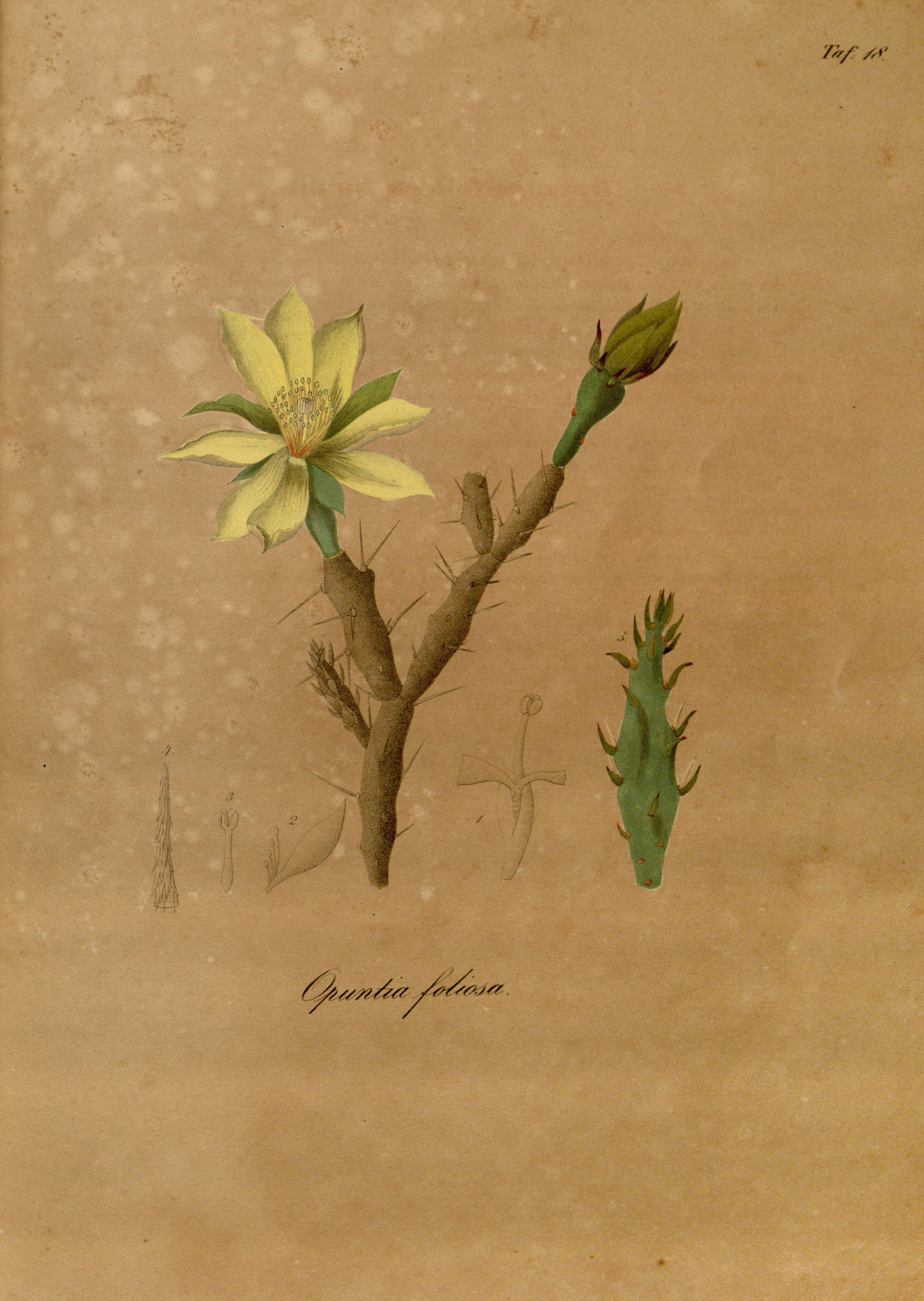 no full size  illustration available (3a)