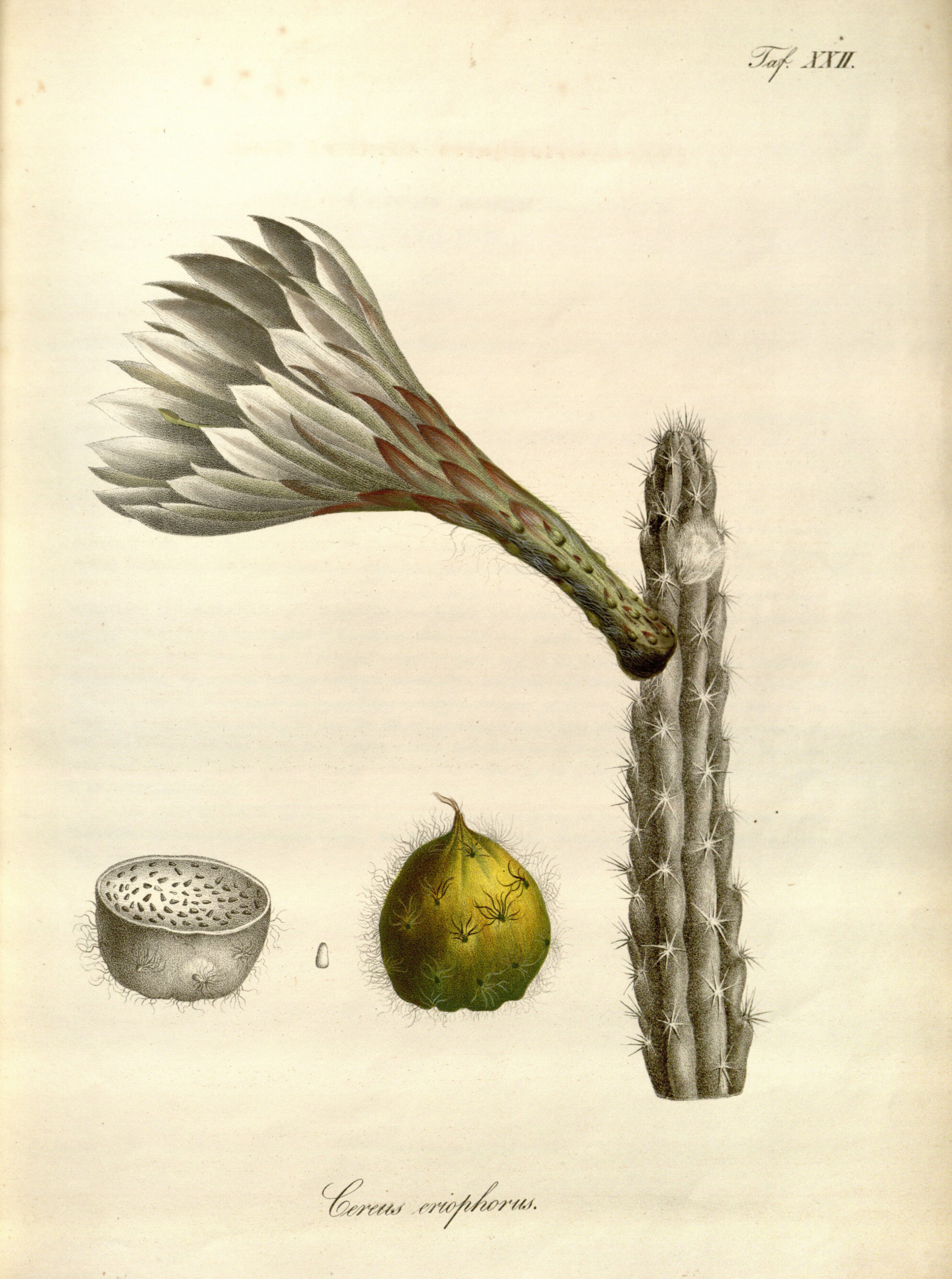 no full size  illustration available (3a)