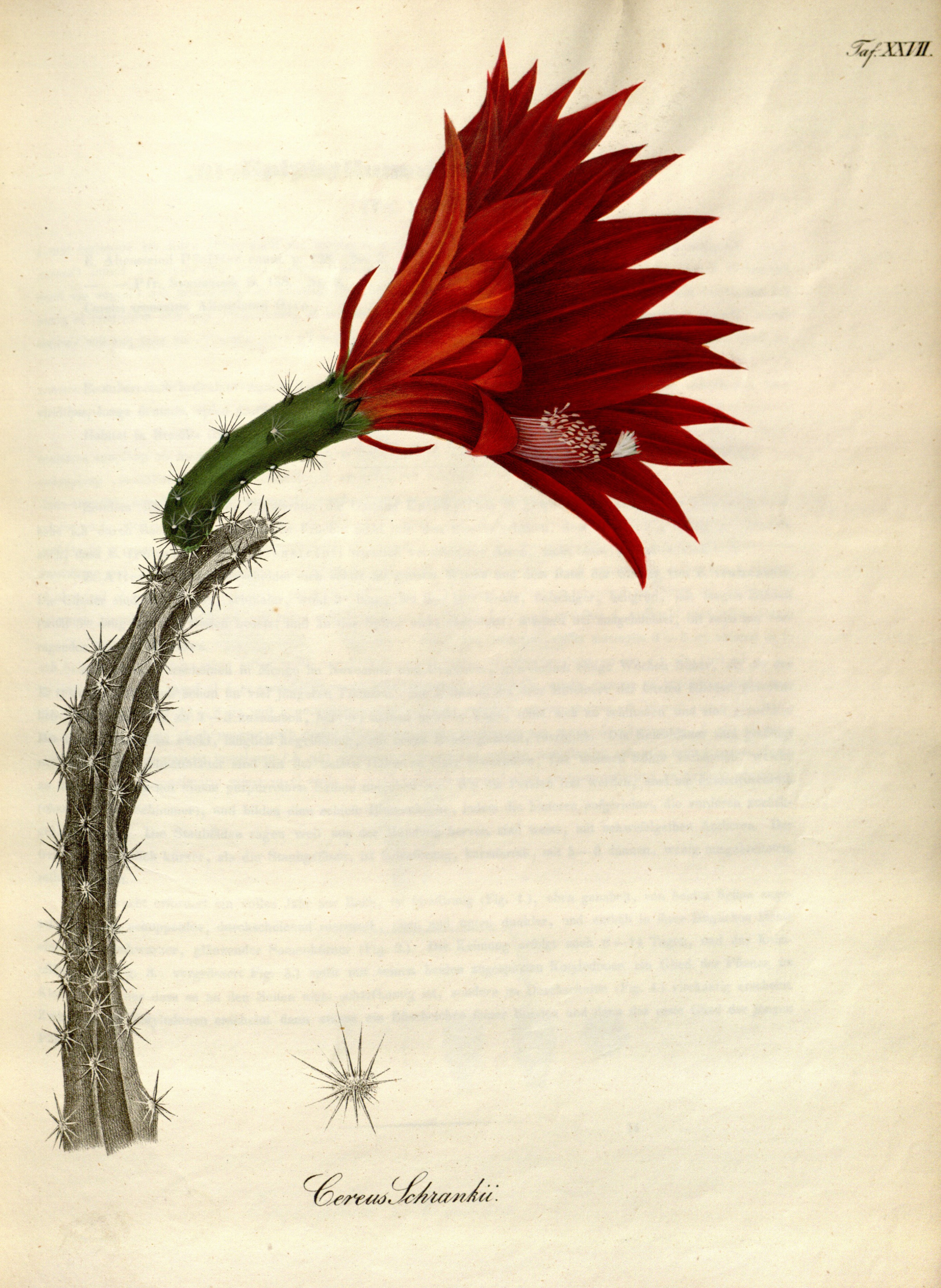 no full size  illustration available (3a)