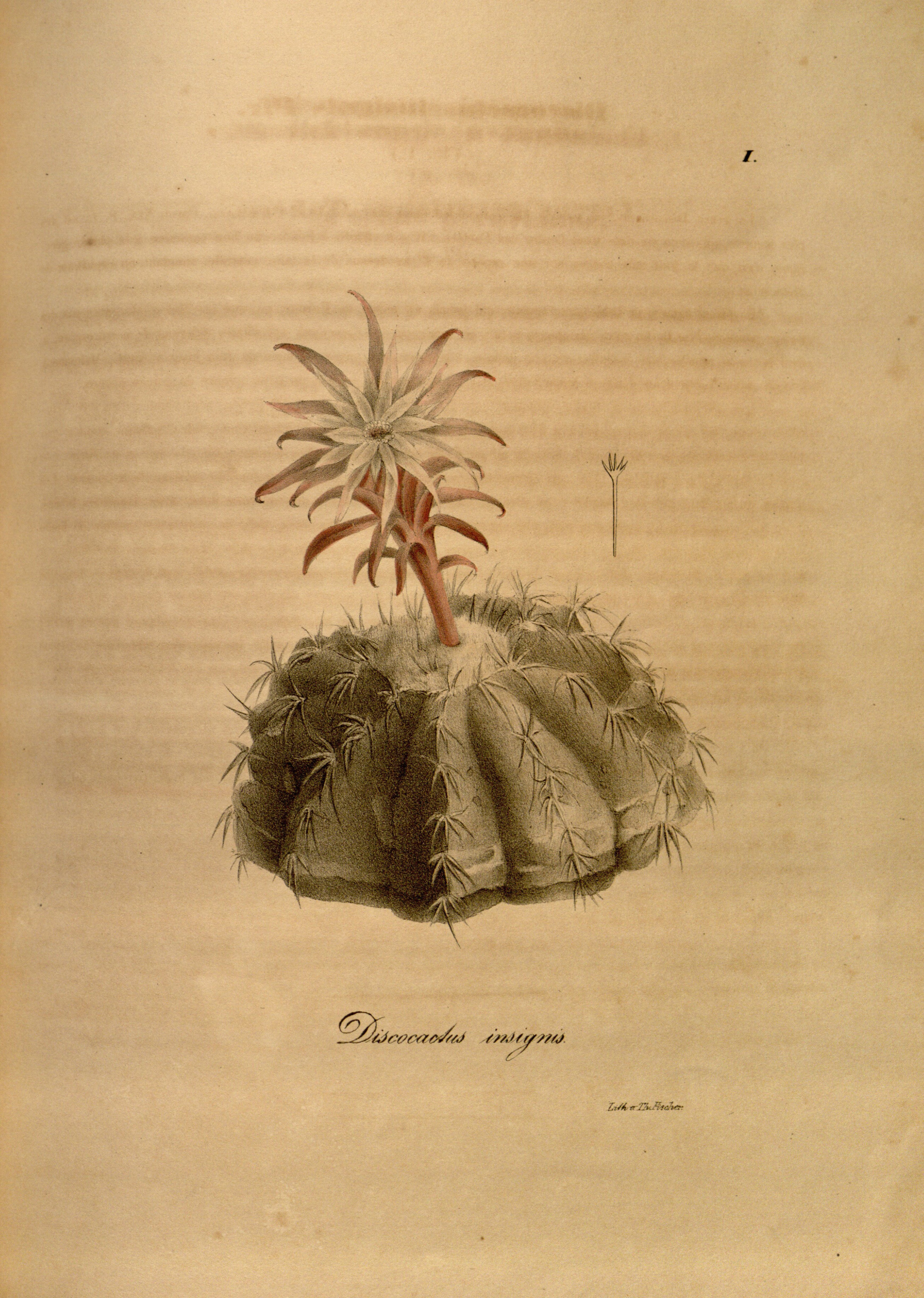 no full size  illustration available (3a)