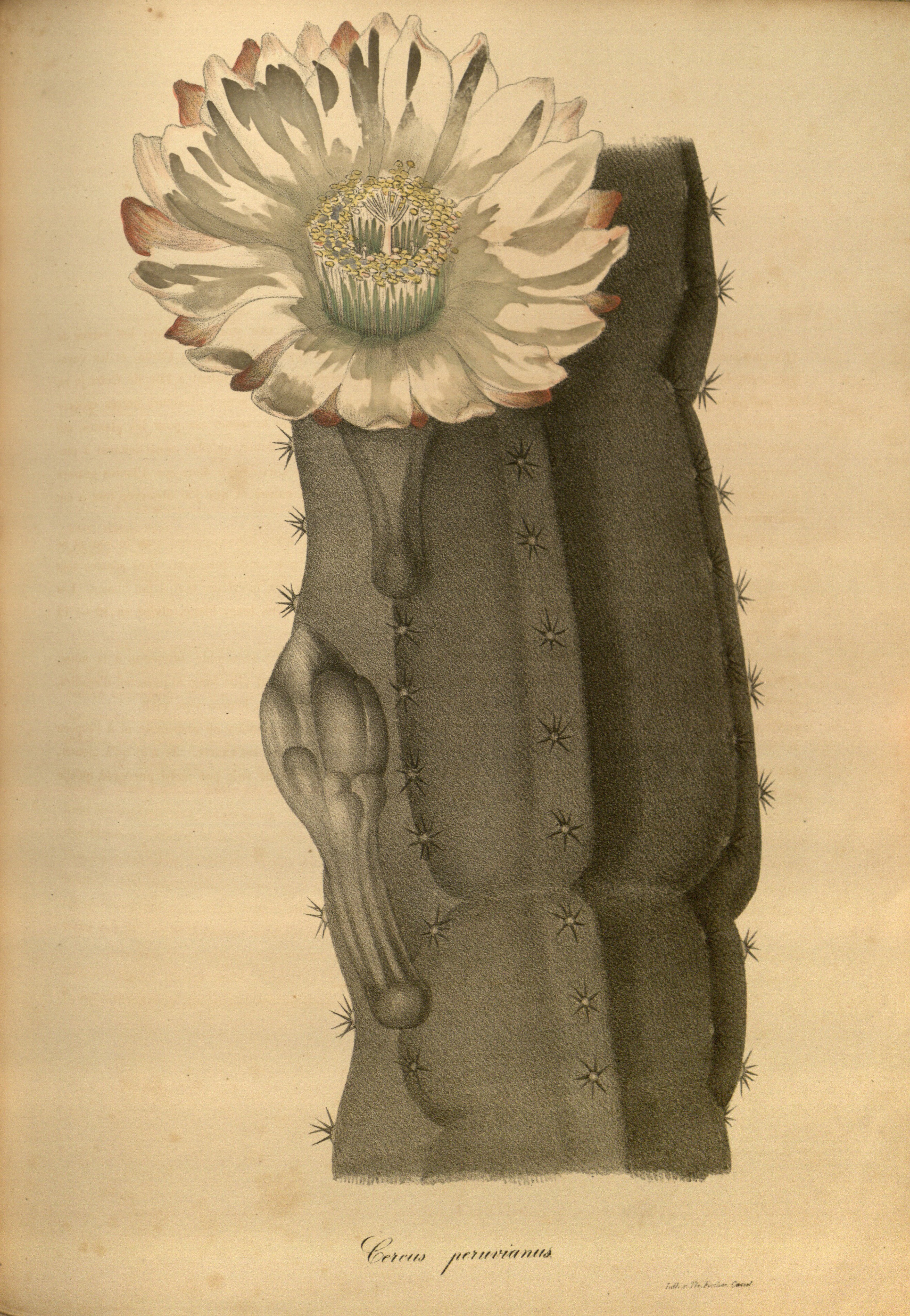 no full size  illustration available (3a)