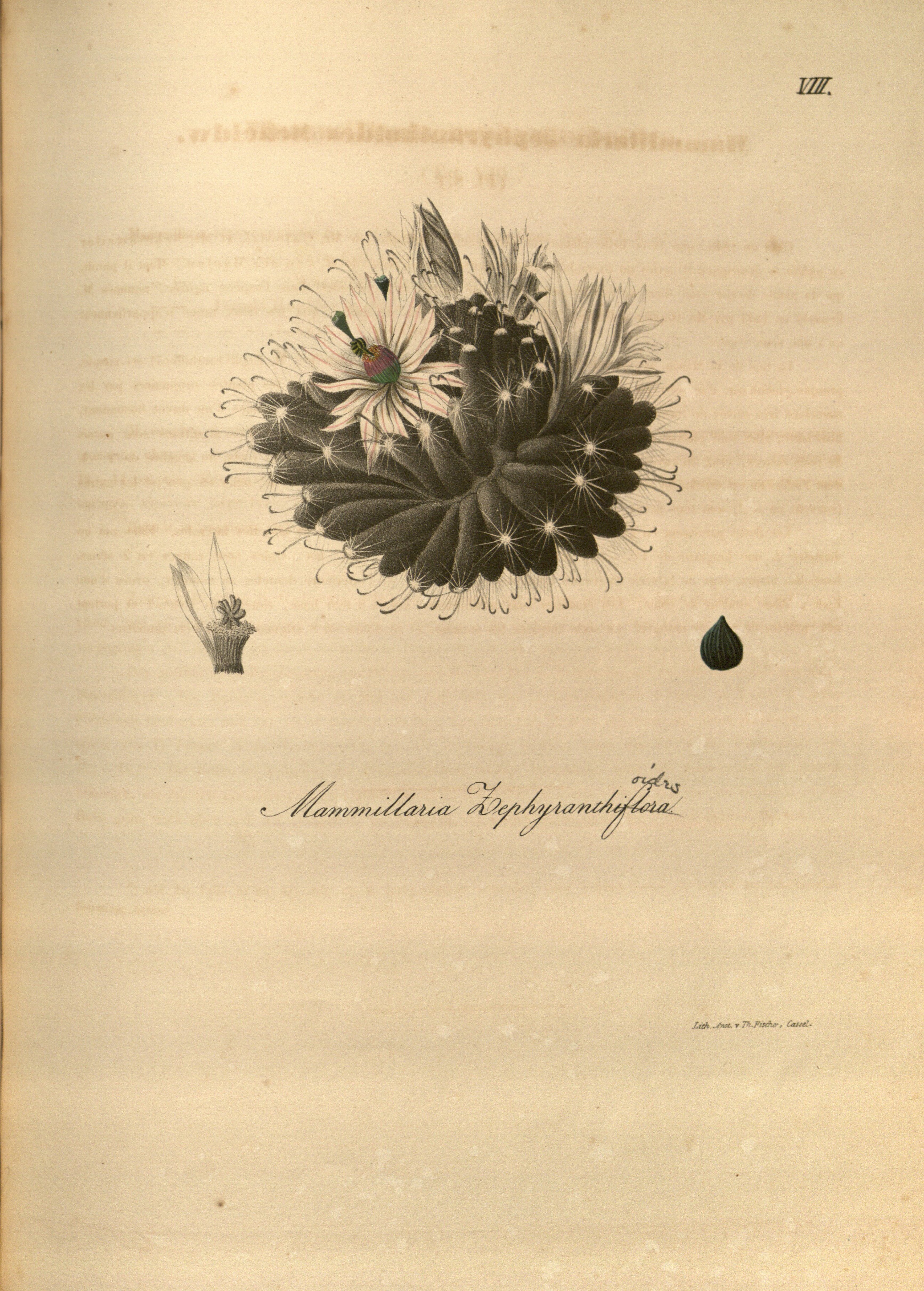 no full size  illustration available (3a)