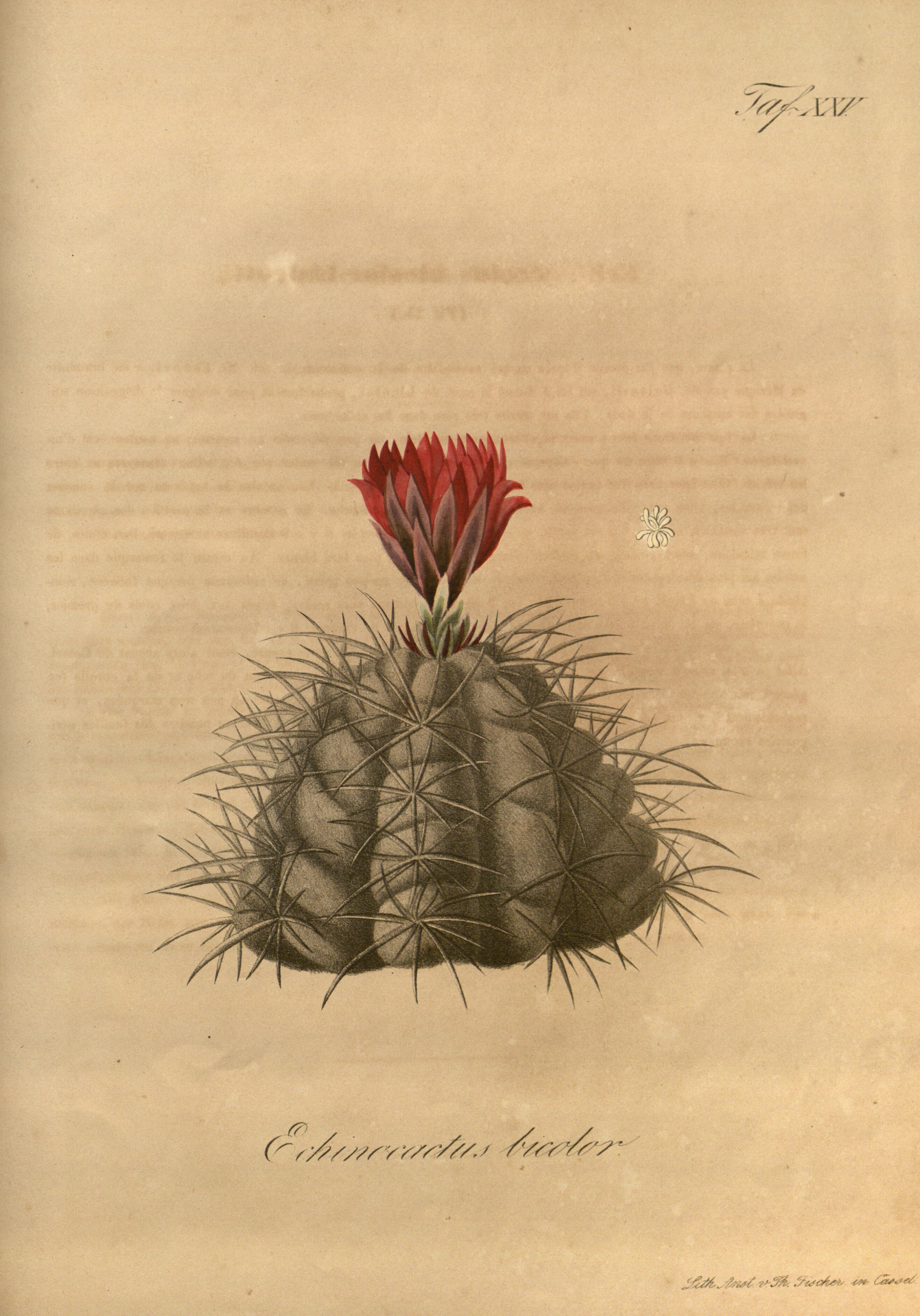 no full size  illustration available (3a)