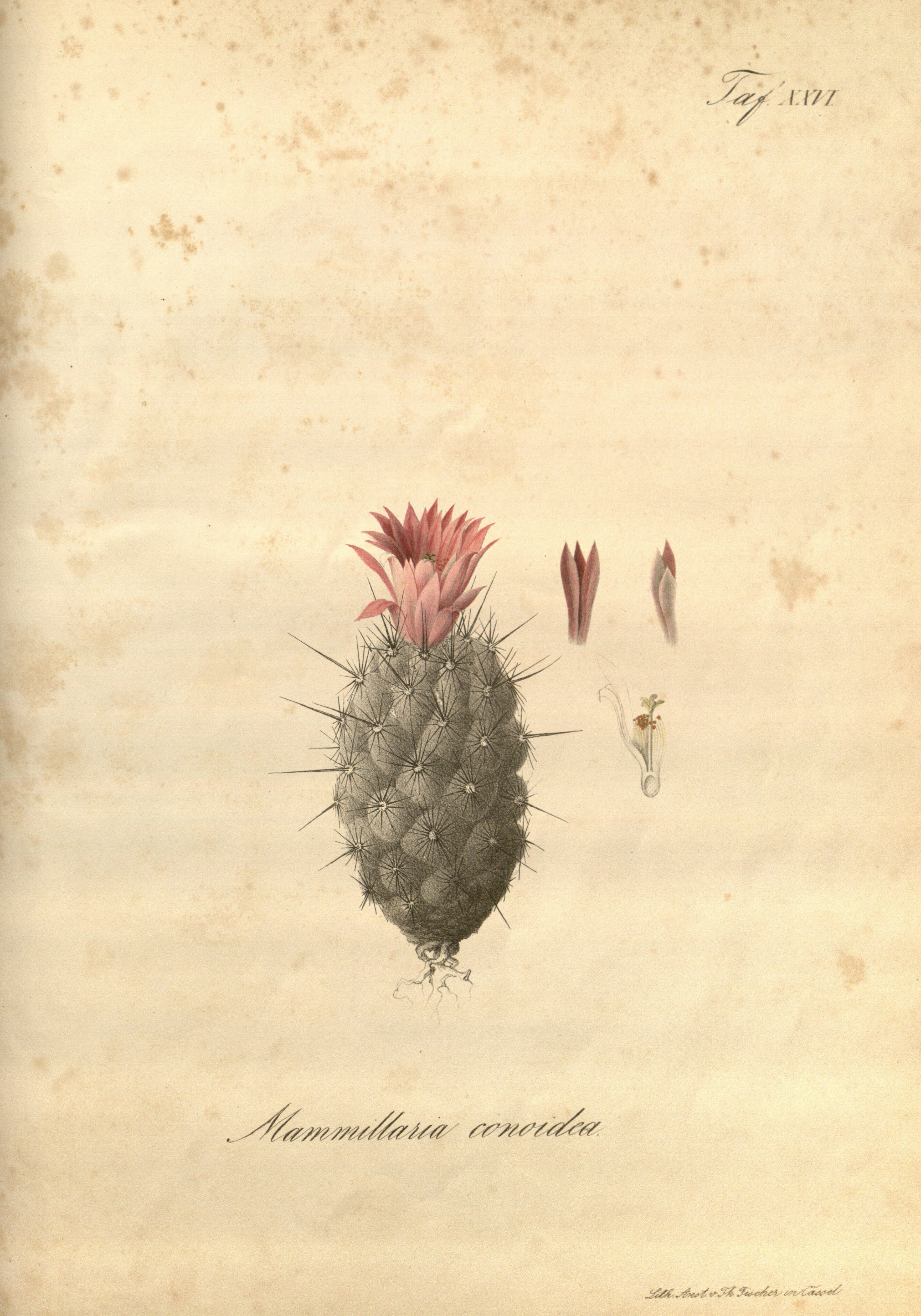 no full size  illustration available (3a)