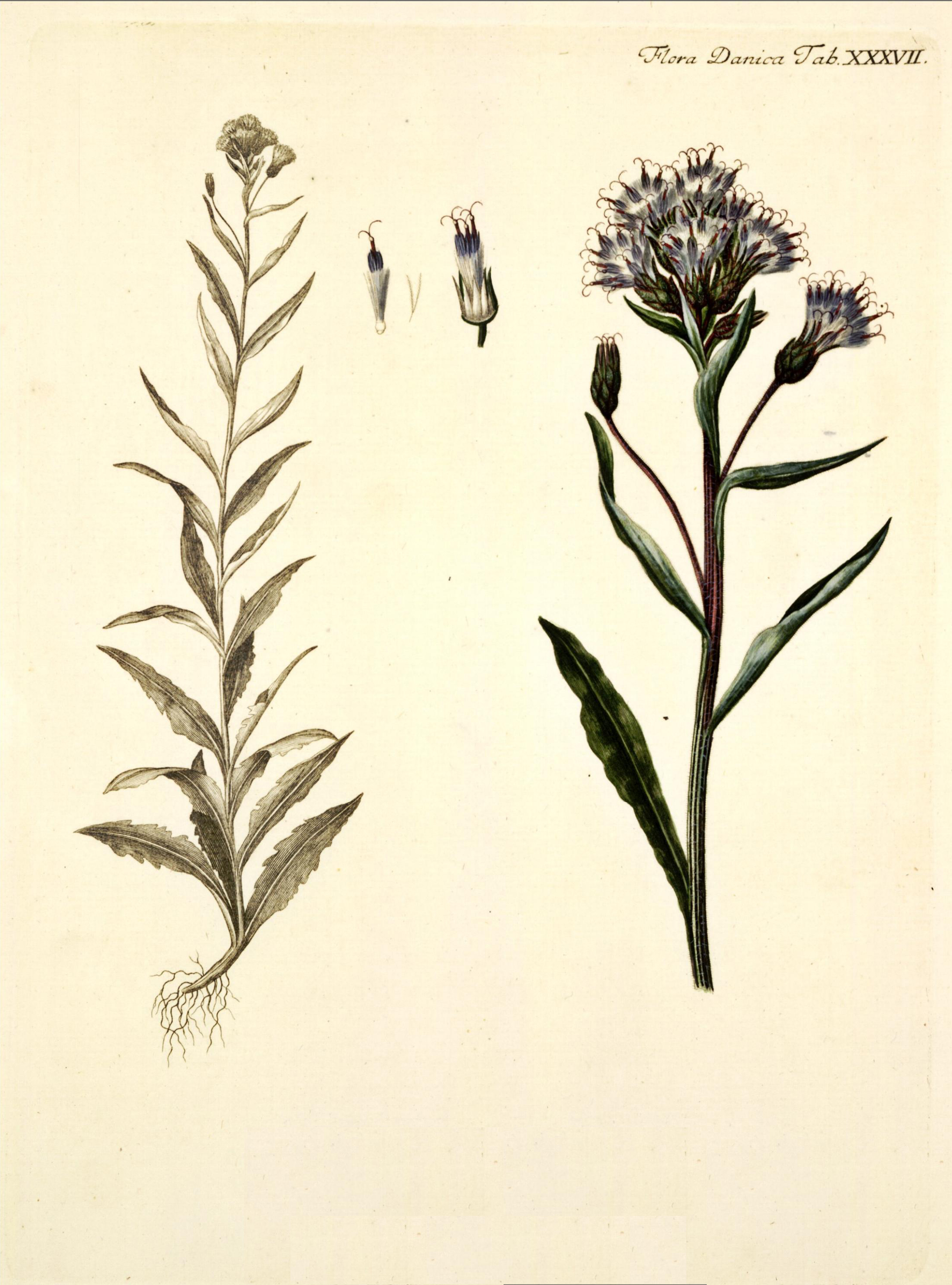 no full size  illustration available (3a)