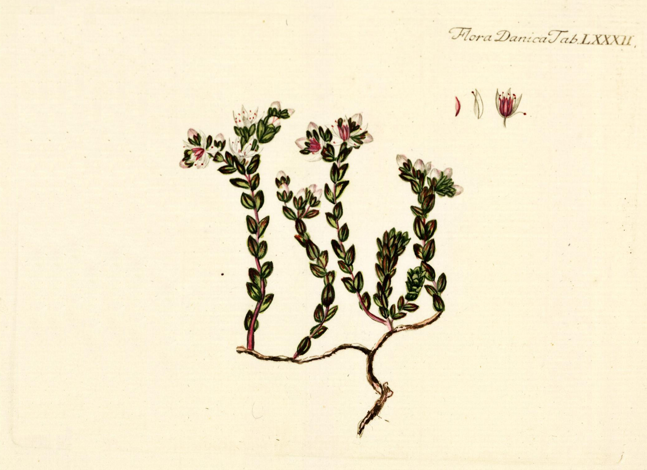 no full size  illustration available (3a)