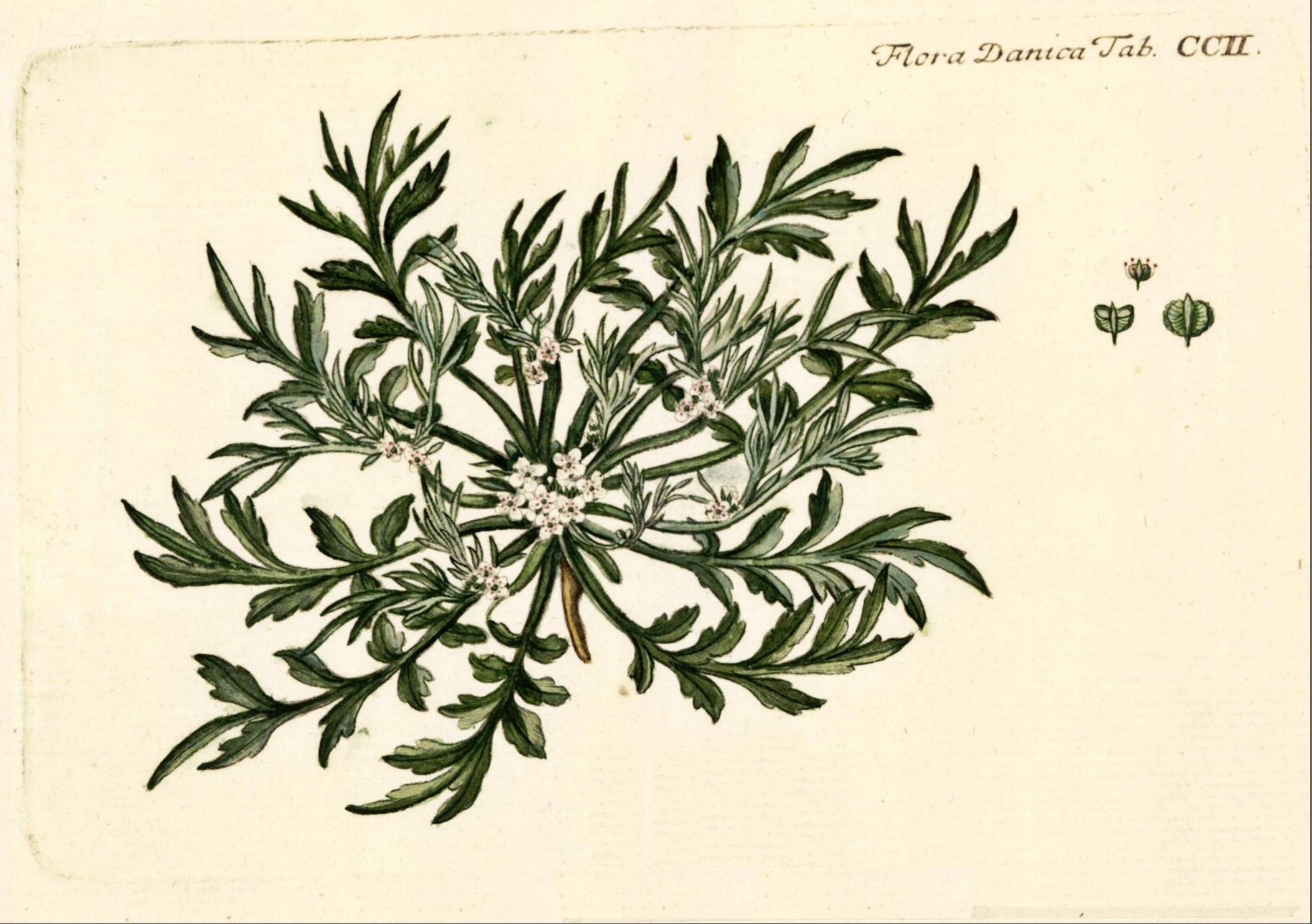 no full size  illustration available (3a)