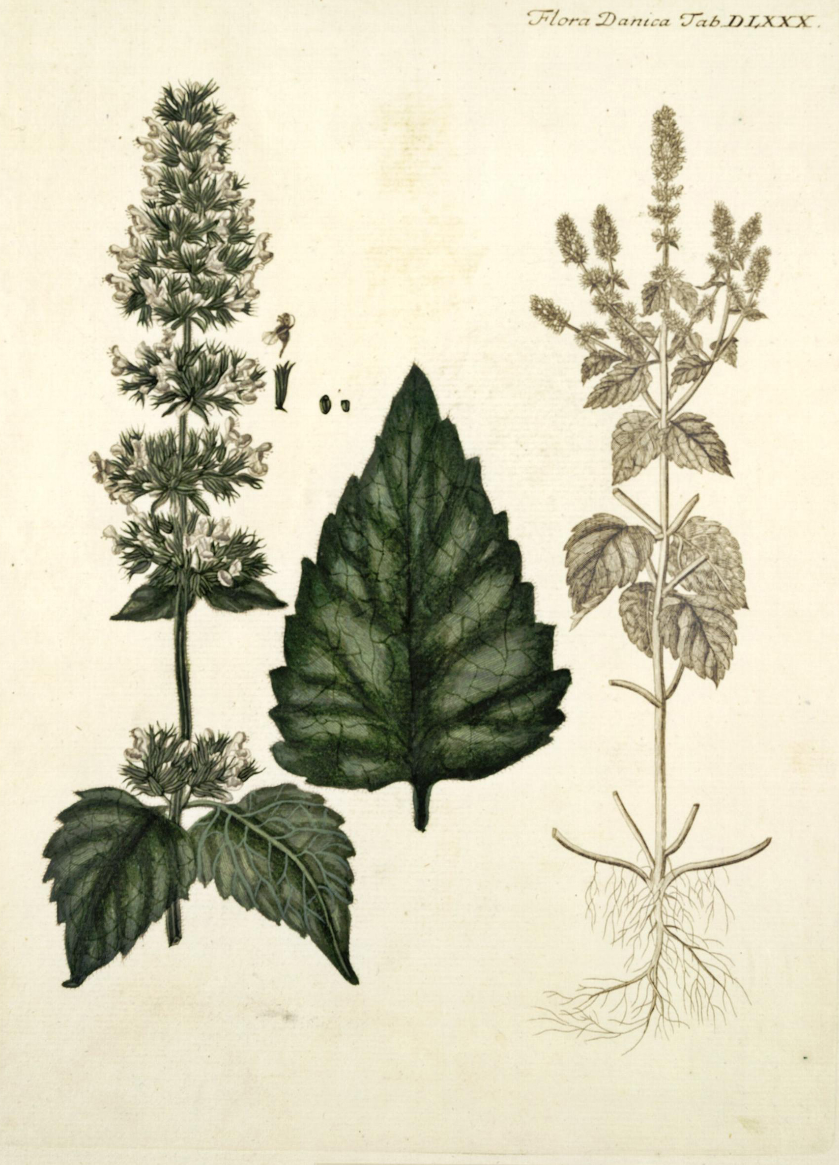 no full size  illustration available (3a)