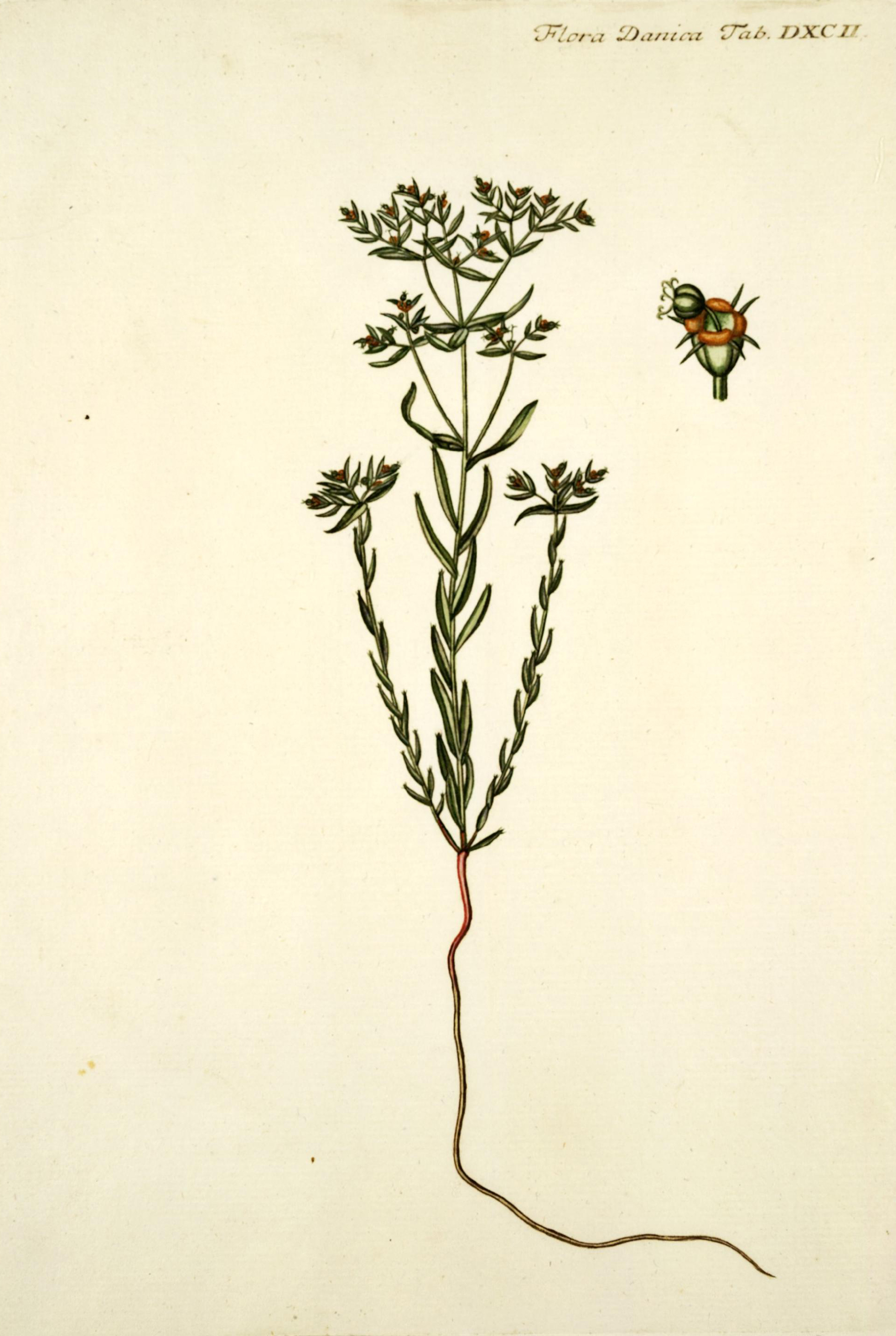 no full size  illustration available (3a)