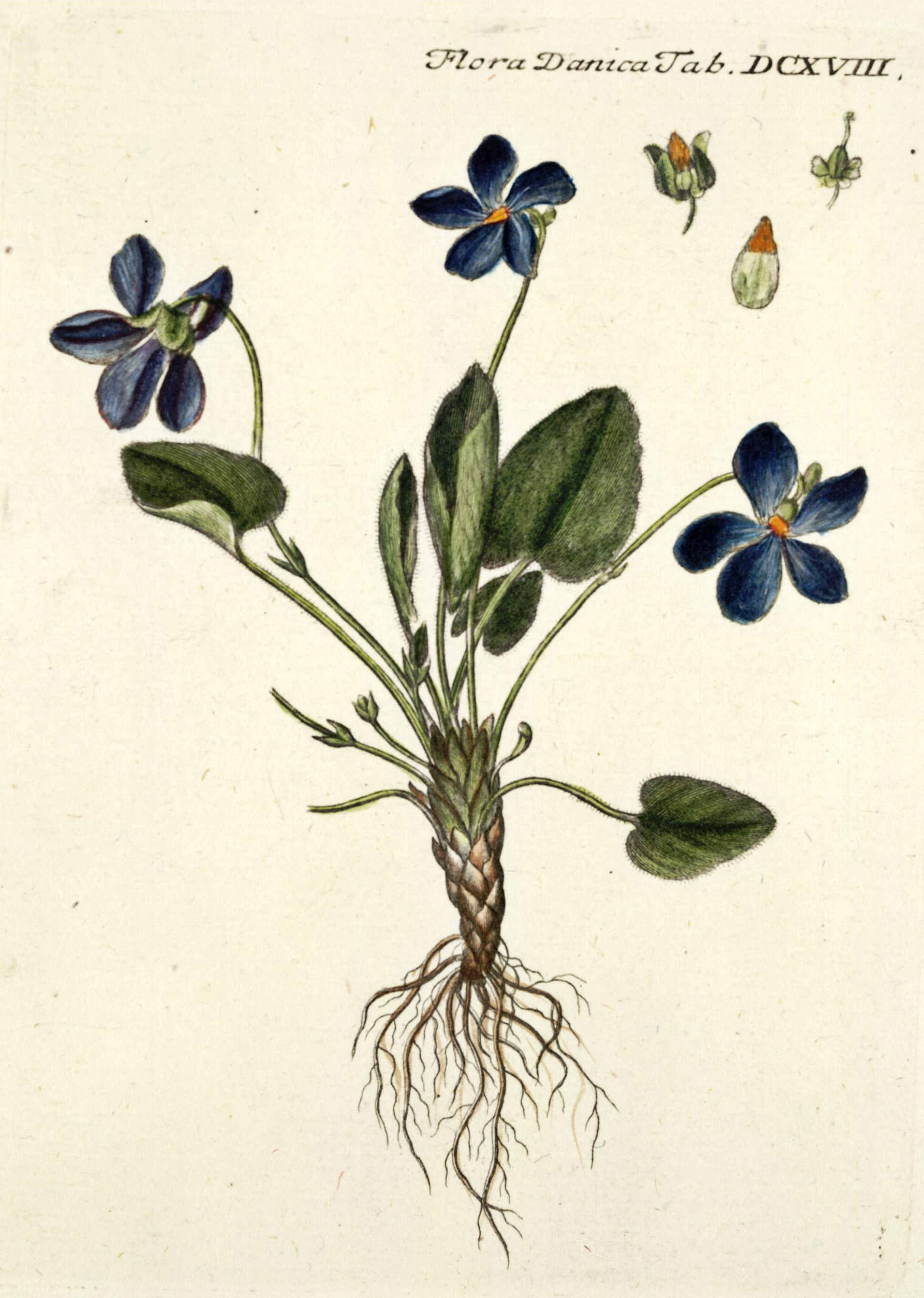 no full size  illustration available (3a)