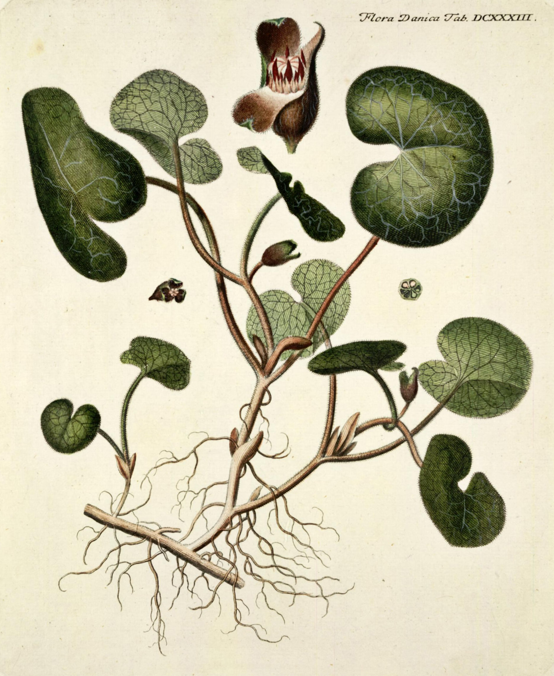 no full size  illustration available (3a)