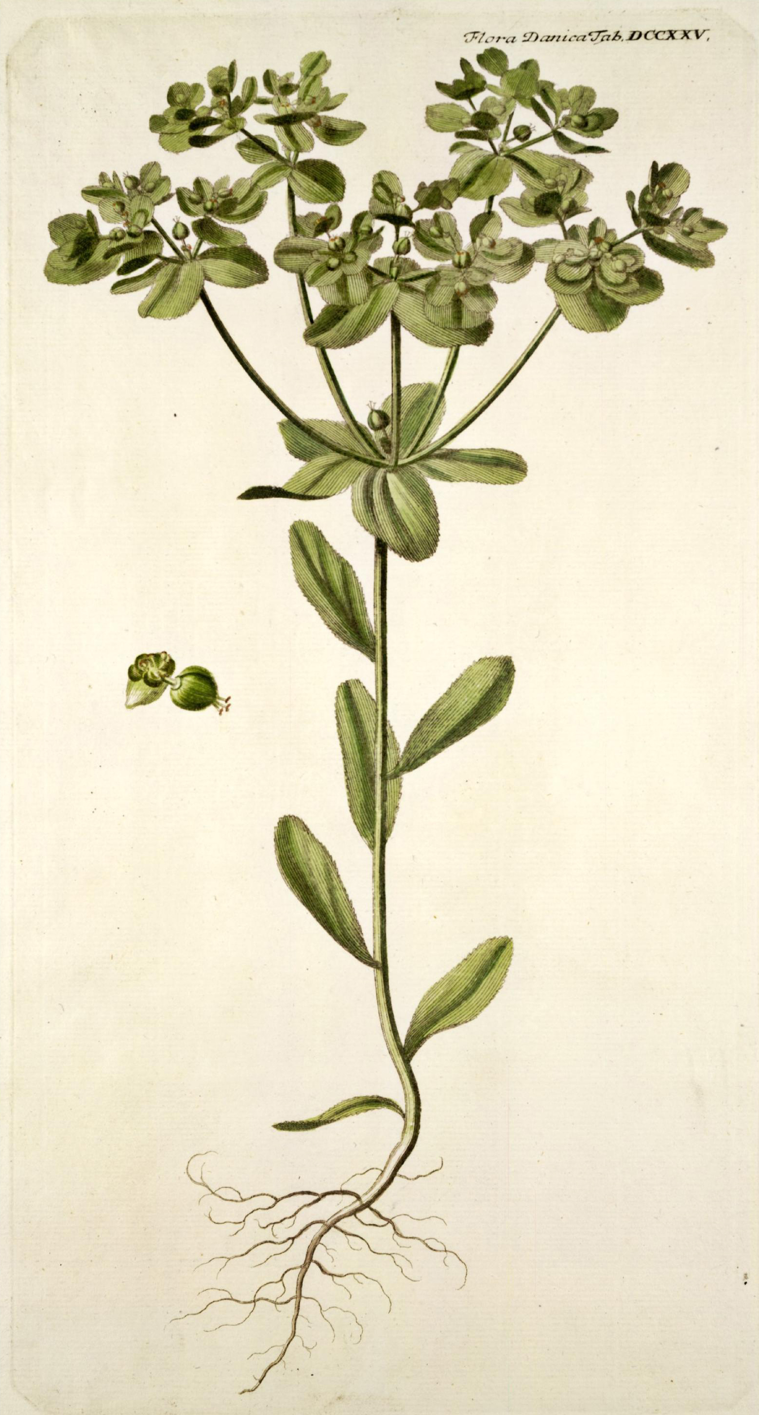 no full size  illustration available (3a)