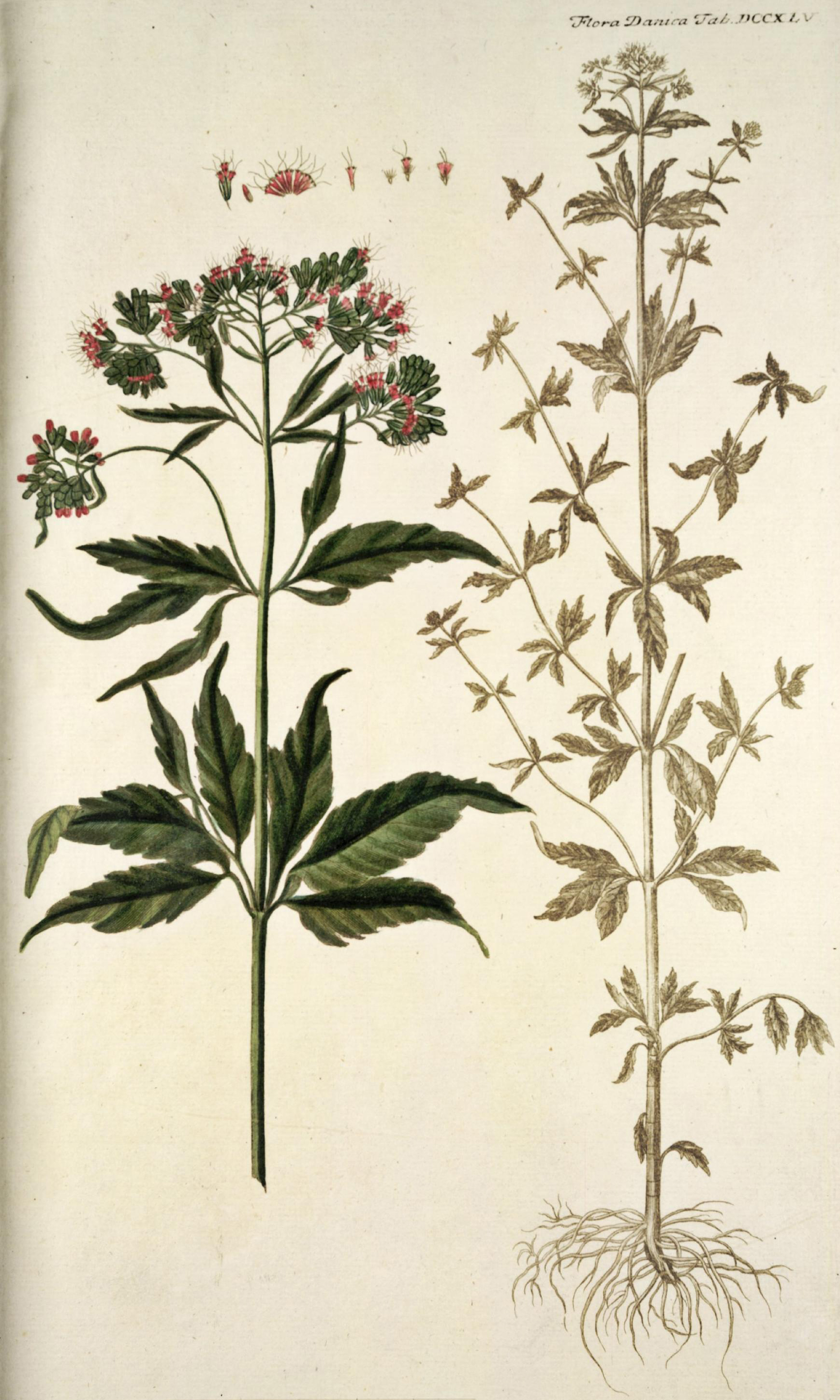 no full size  illustration available (3a)