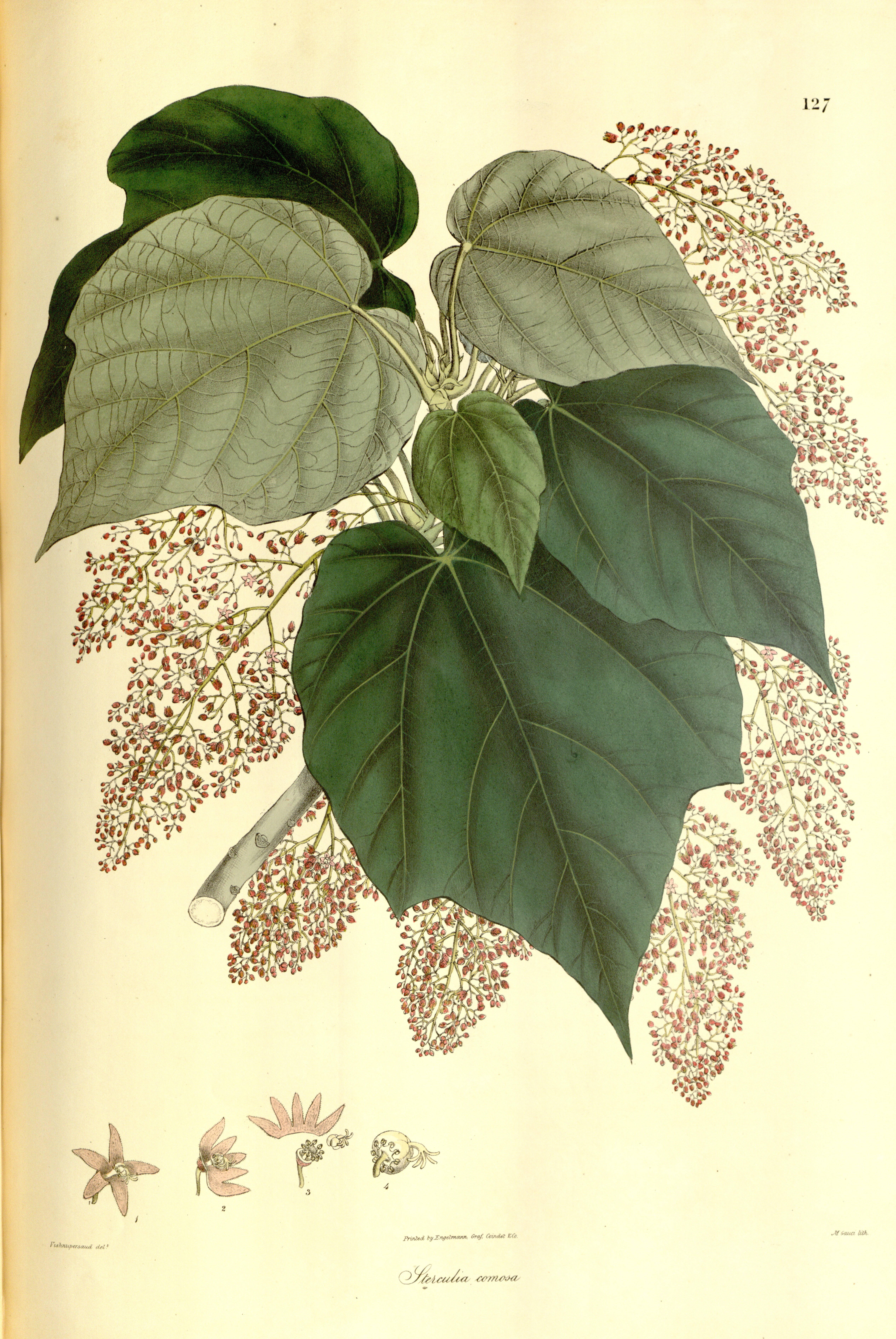 no full size  illustration available (3a)